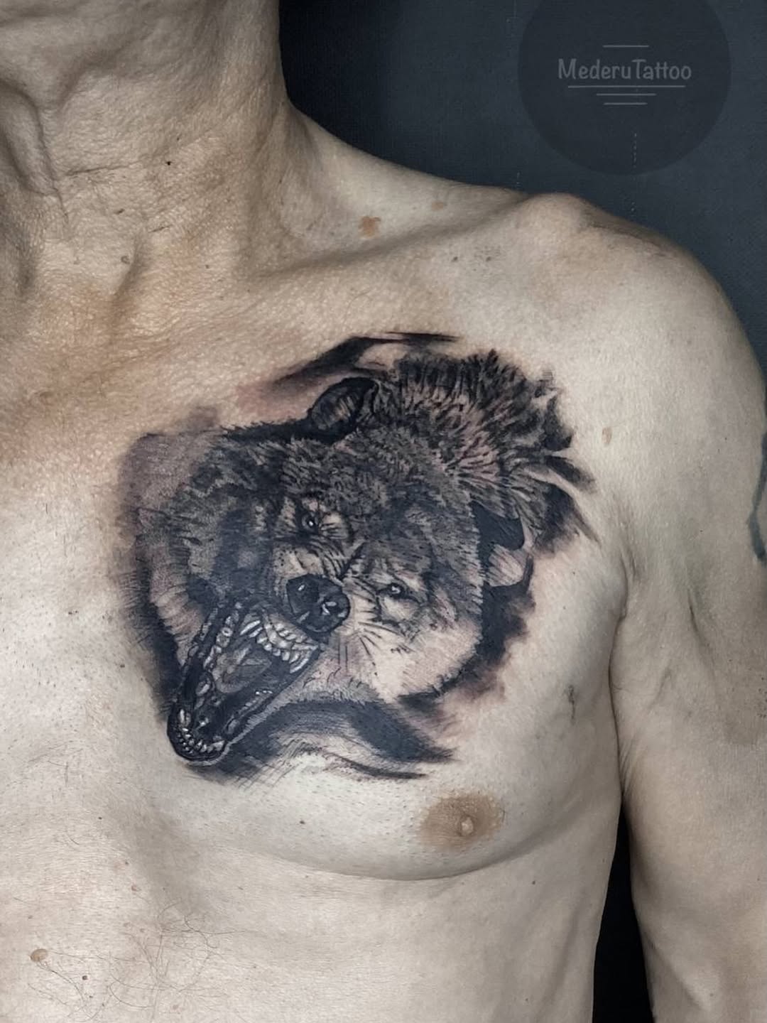 Wolf portrait realism tattoo on the chest by Alexey Molyarenko