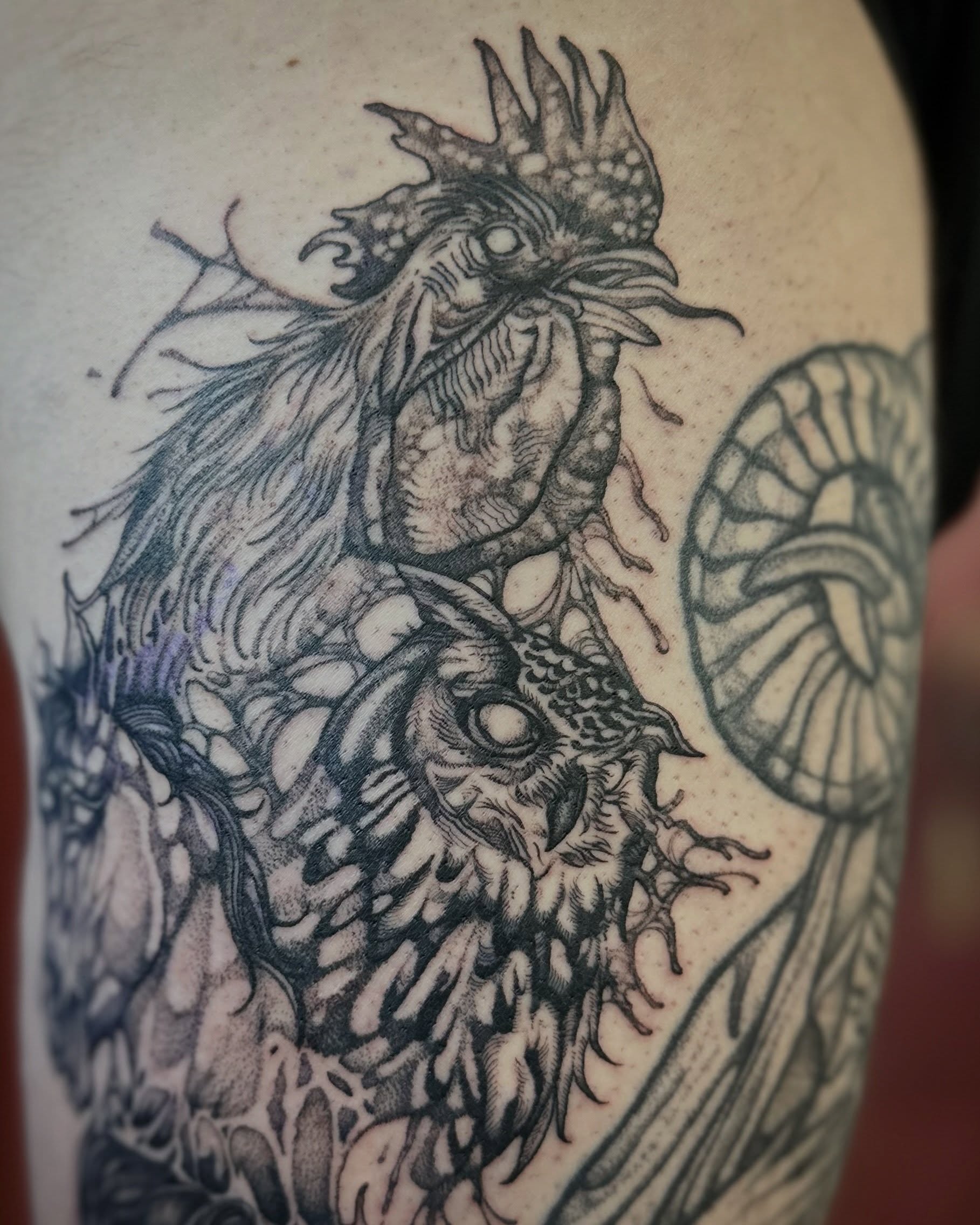 Rooster and owl realism tattoo on the thigh by โฃ ๐ฝ๐๐๐๐๐ ๐ฟ๐๐๐๐๐๐๐๐๐๐๐ โฃ