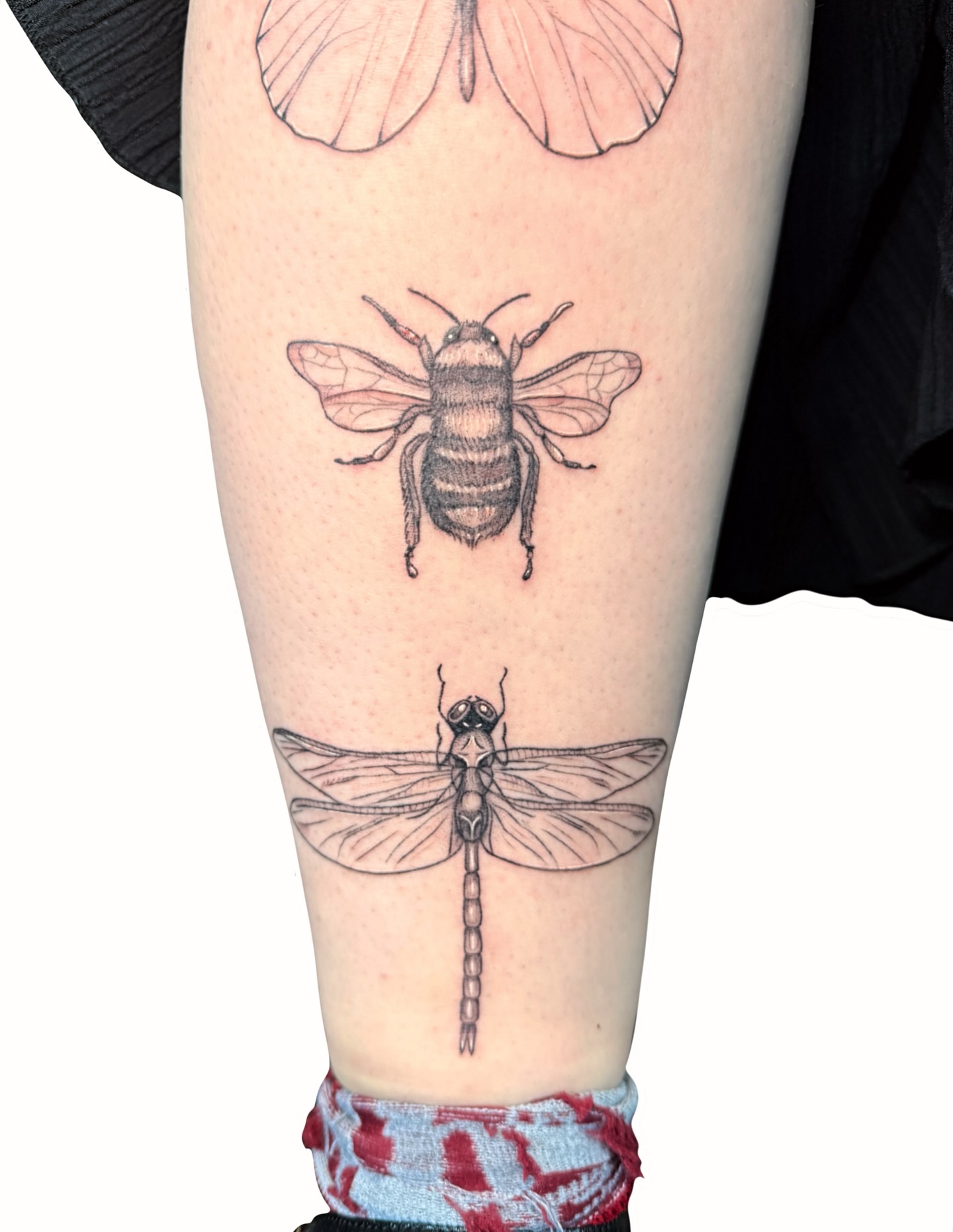 Insects black and grey tattoo on the forearm by Fionna, Seattle, Washington