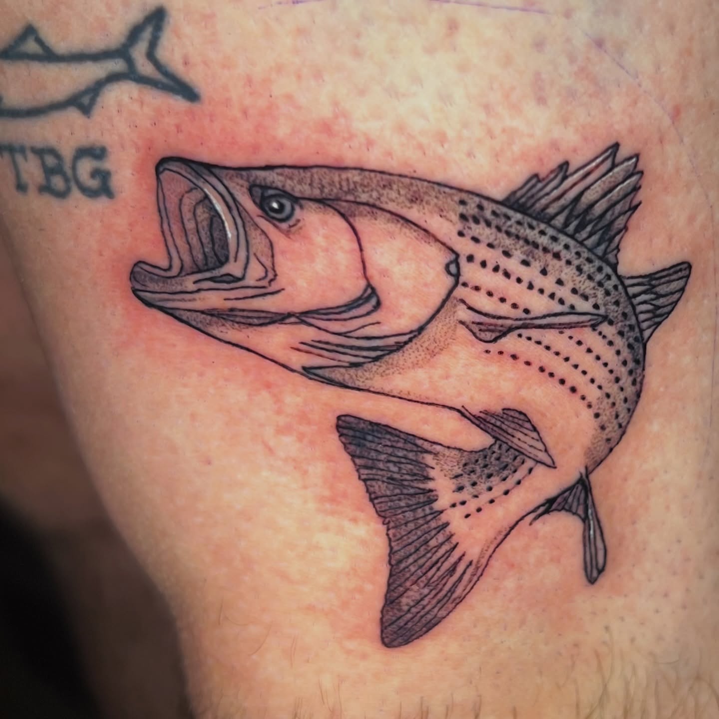 Largemouth bass dotwork tattoo on the thigh by Evan Intveld