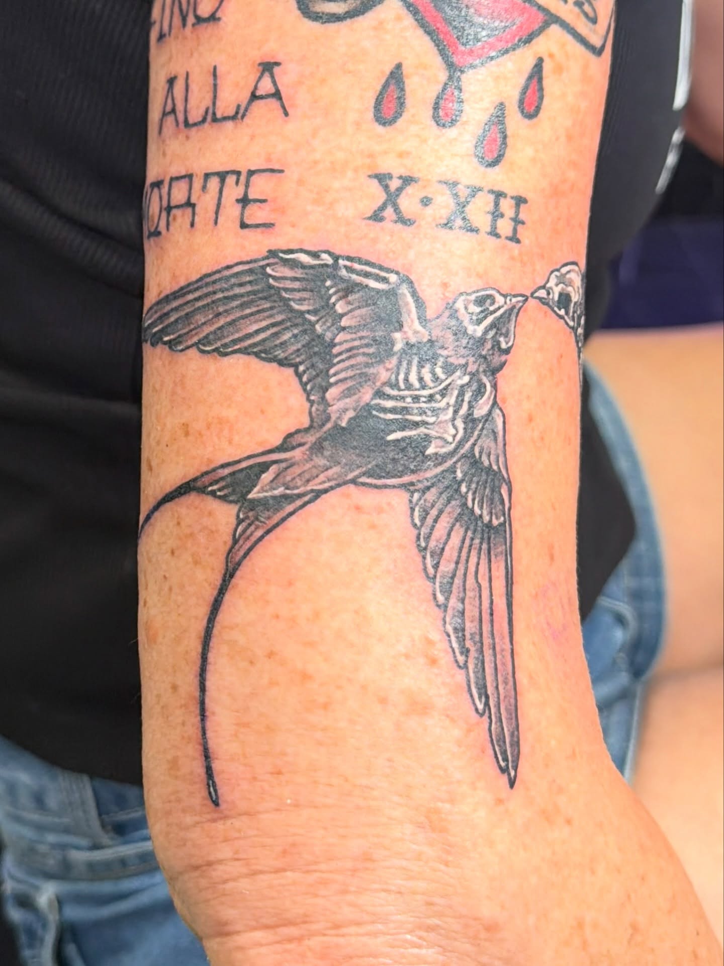 Swallow black and grey tattoo on the forearm by Stephanie Comito-Stephens