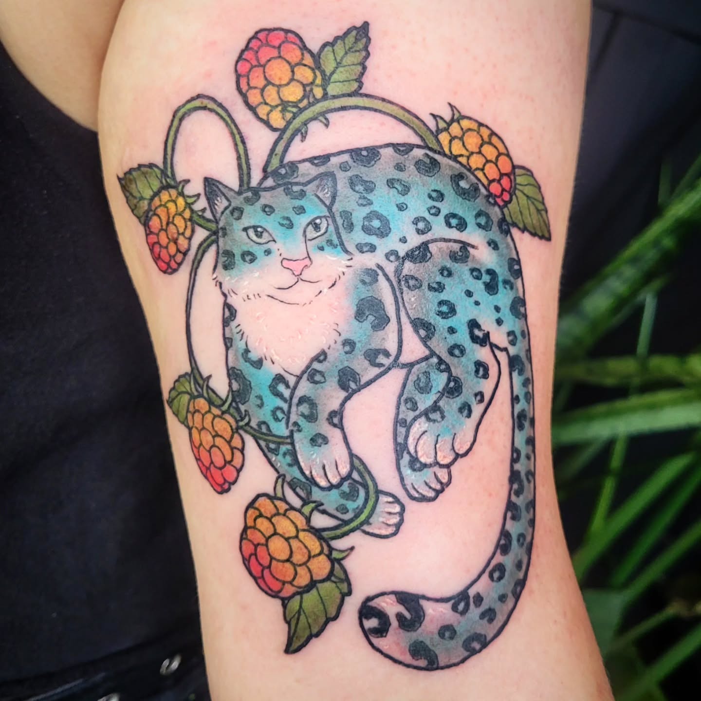 Cat and raspberries watercolor tattoo on the forearm by Ashley Thomas, Midvale, Utah