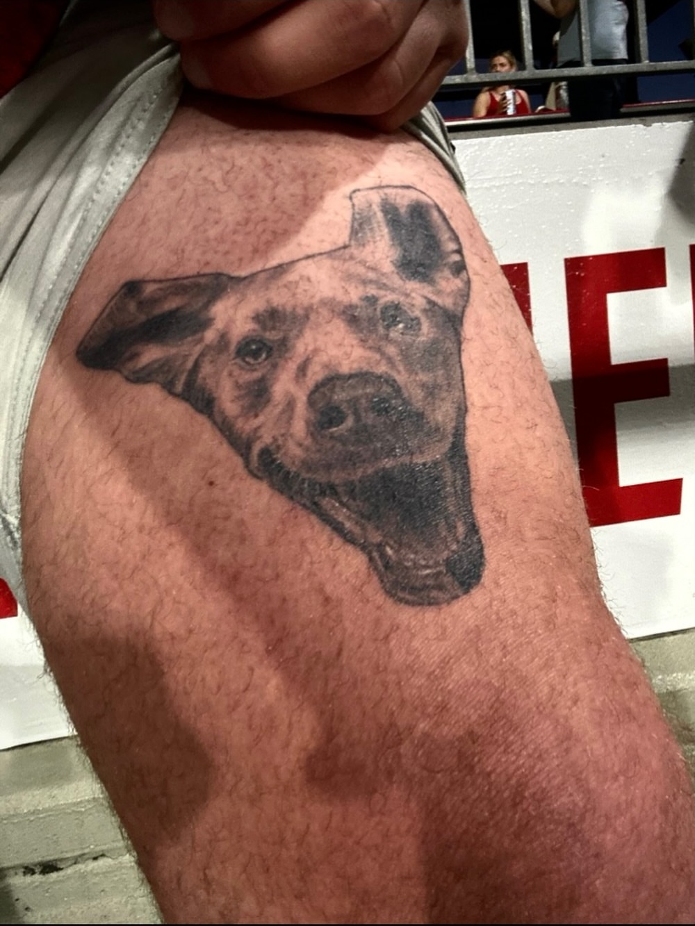 Dog realism tattoo on the upper arm by Bobby Trefz