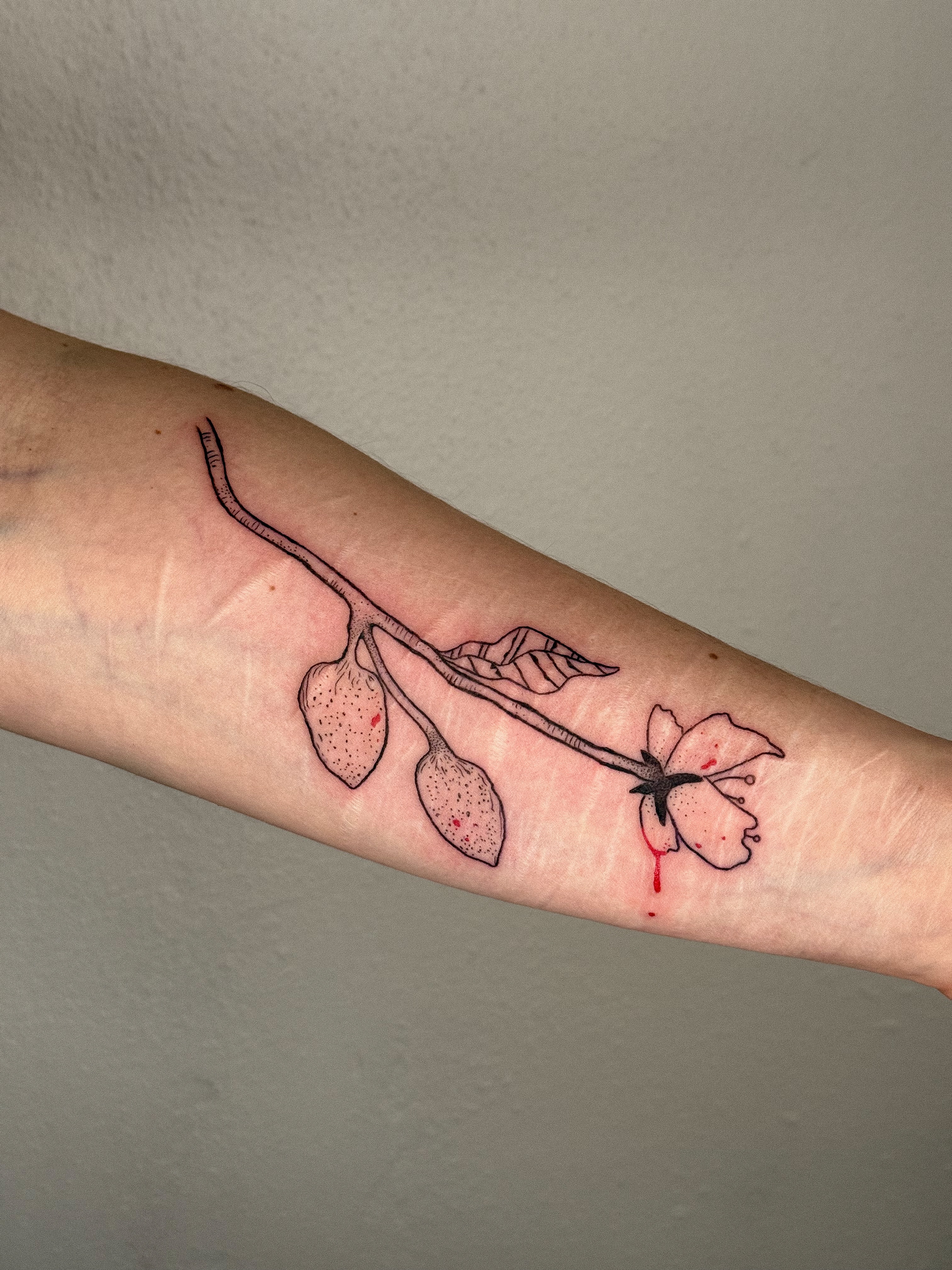 Flower black and grey tattoo on the forearm by madison