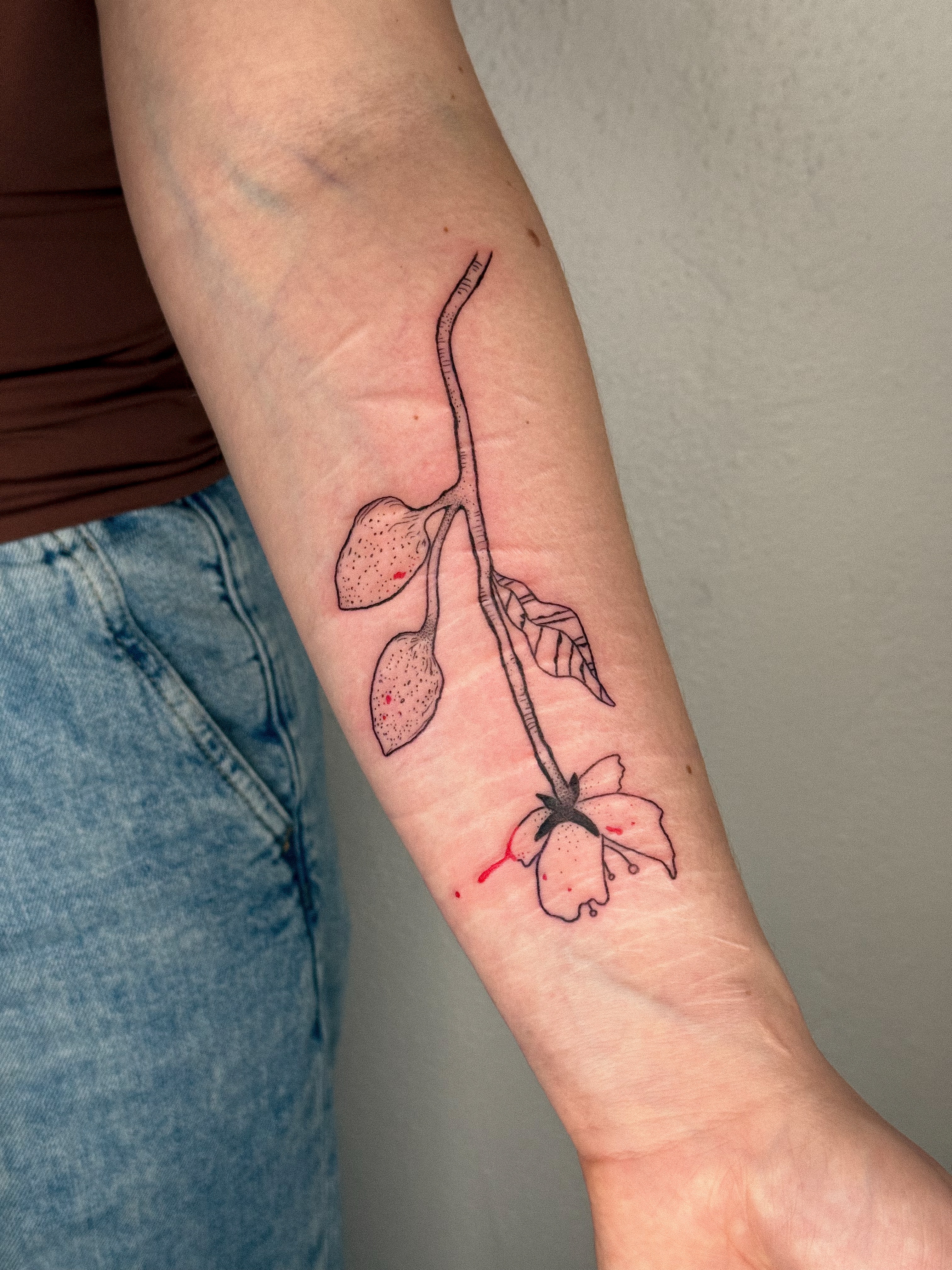 Cherry blossom branch dotwork tattoo on the forearm by madison