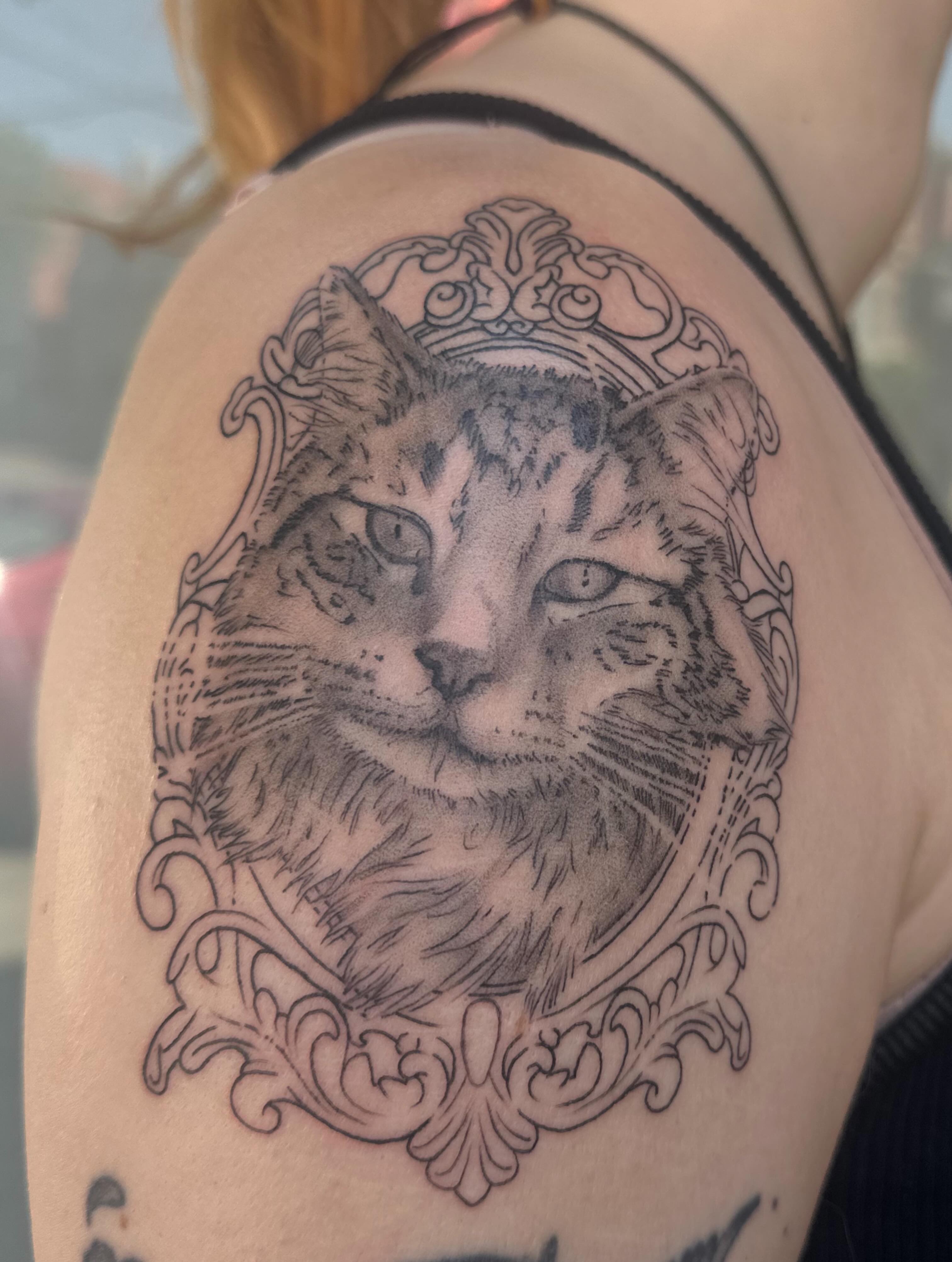 Cat portrait realism tattoo on the shoulder by Micha Sol