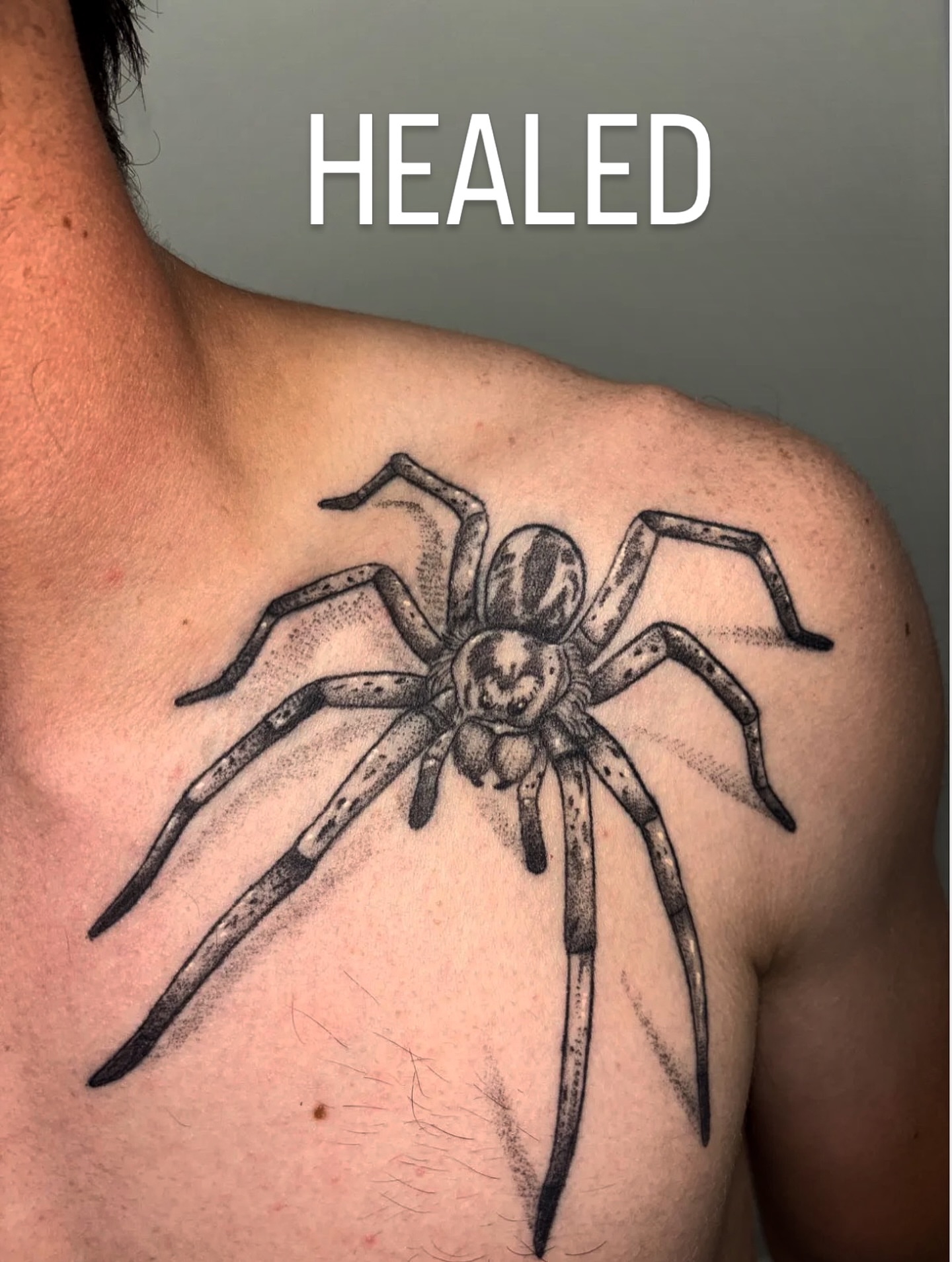 Spider dotwork tattoo on the chest by Neotraditional Blackwork