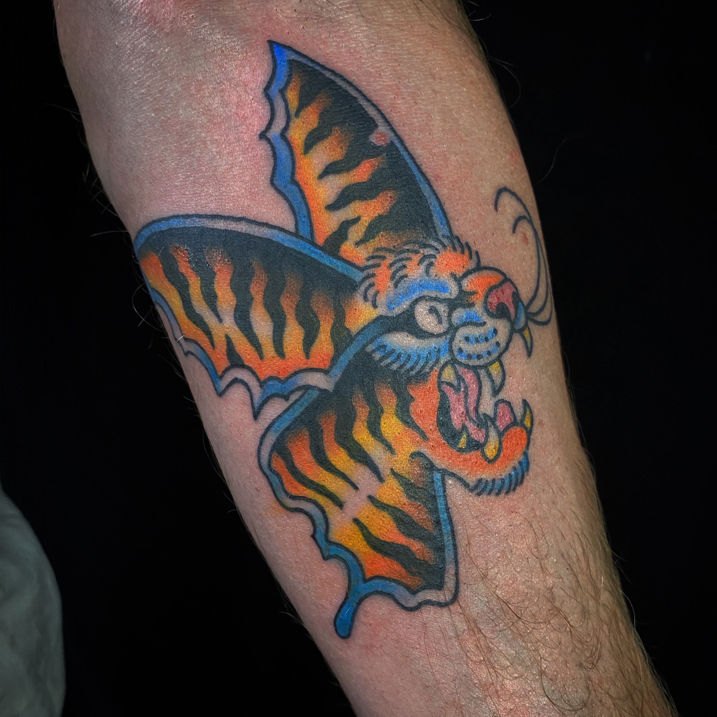Bat American traditional tattoo on the forearm by @katie_tatts