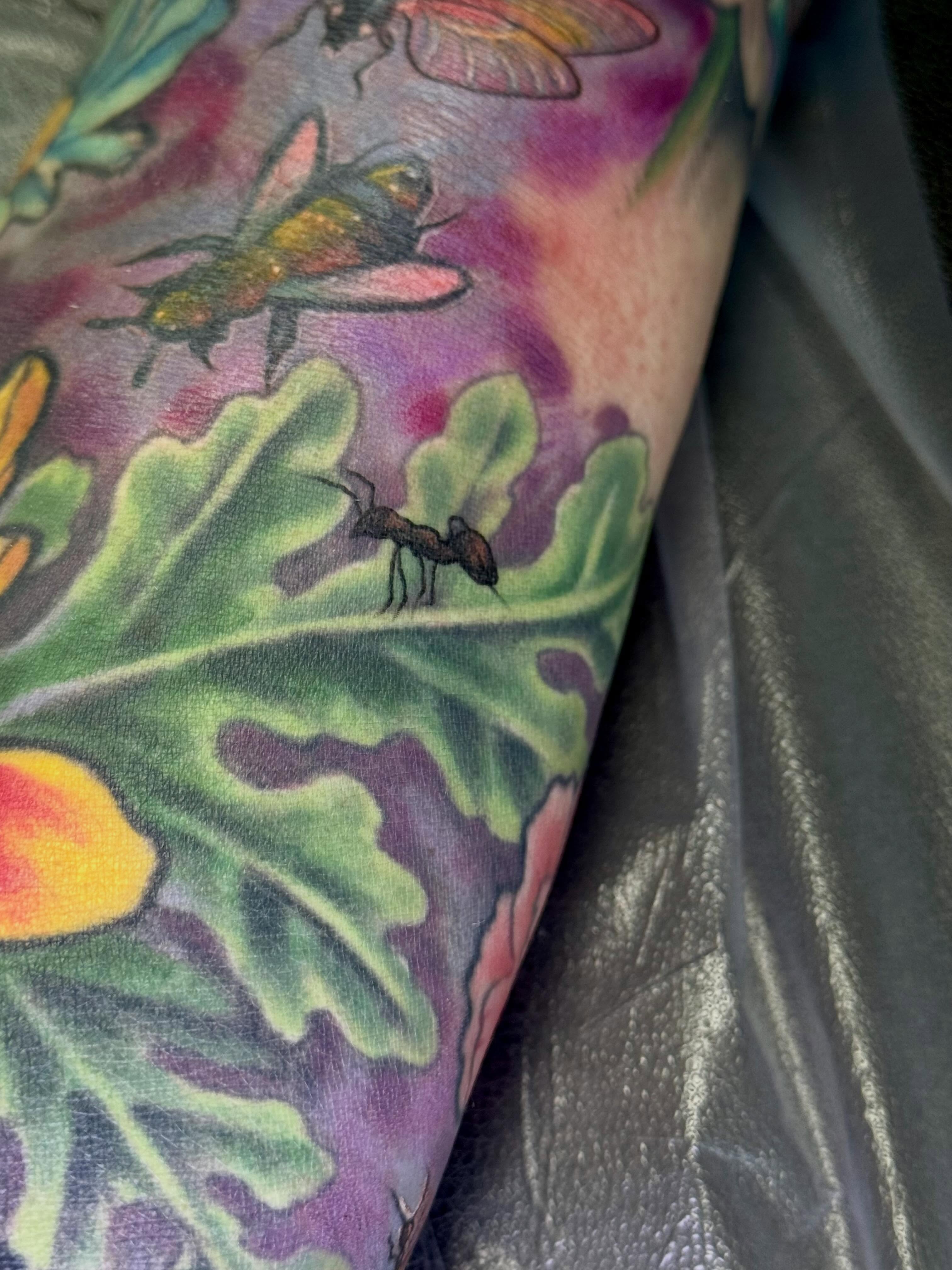 Ant and leaf watercolor tattoo on the forearm by Eileen Joyce