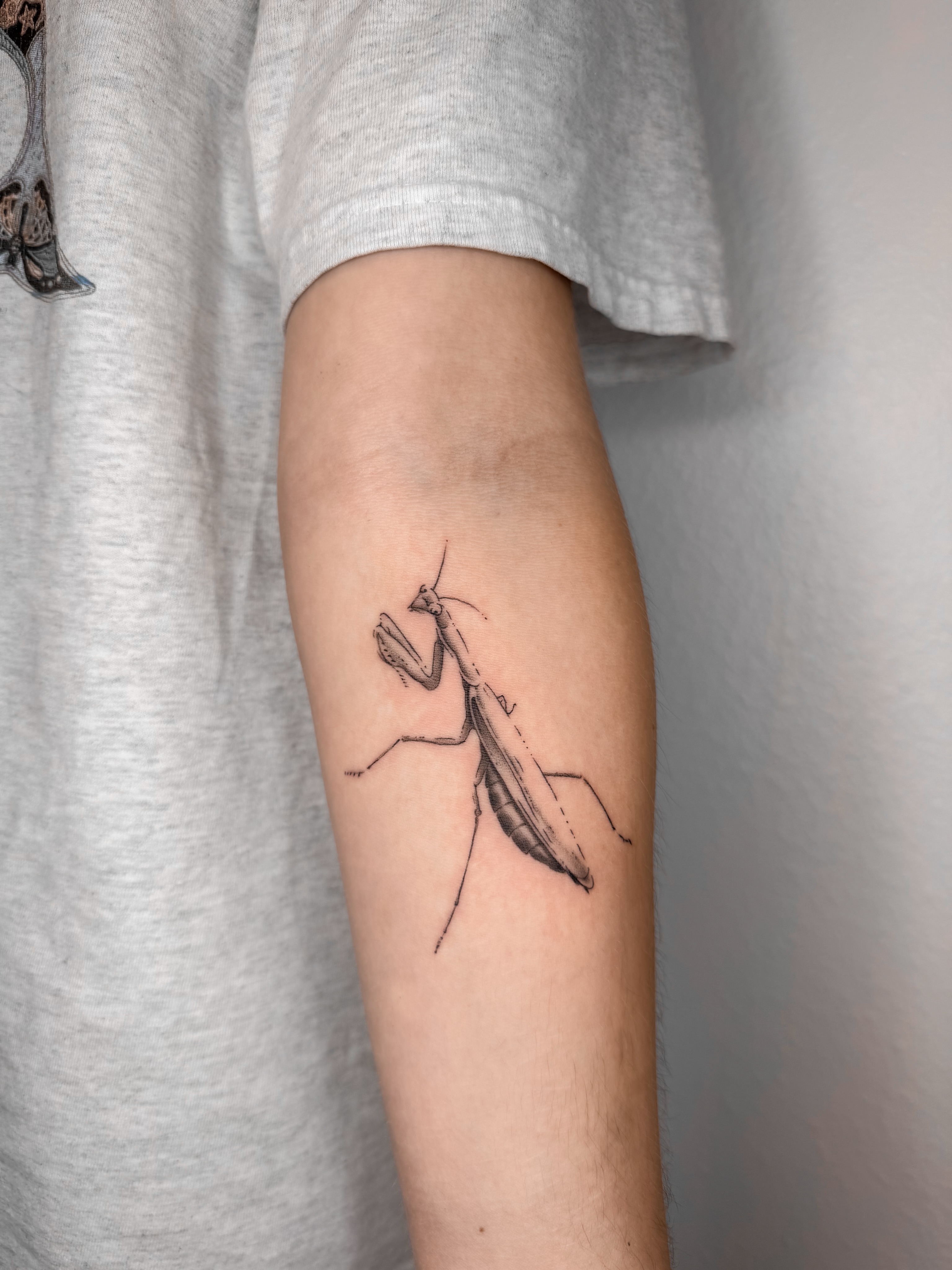 Praying mantis realism tattoo on the forearm by Rylee