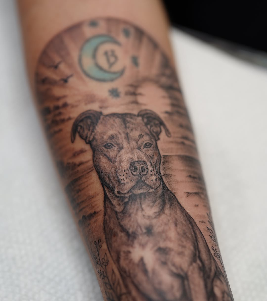 Pit bull realism tattoo on the forearm by Kevin Betancourt