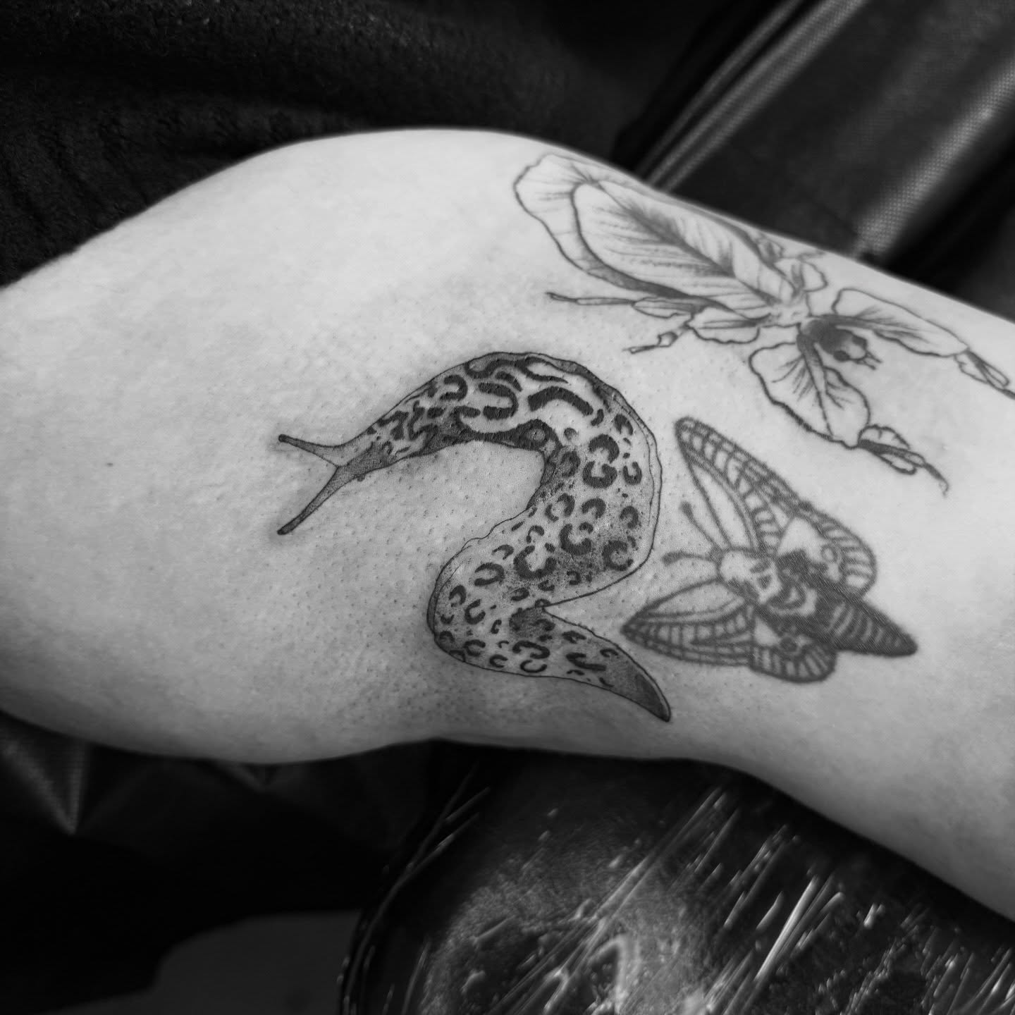 Slug and butterfly black and grey tattoo on the forearm by Kait