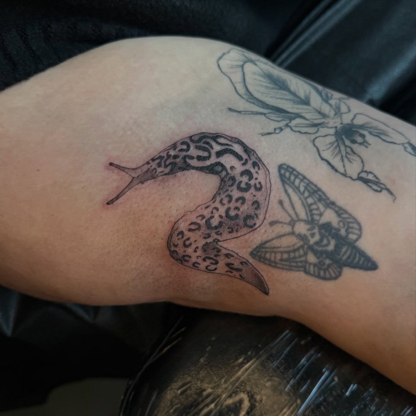 Snail and butterflies black and grey tattoo on the upper arm by Kait