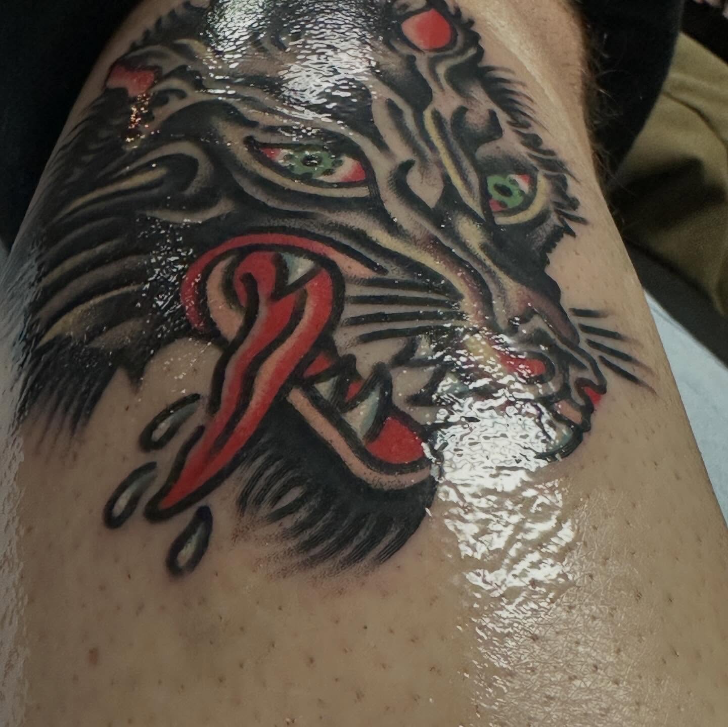 Tiger American traditional tattoo on the thigh by Jared Allen, Saint Petersburg, Florida