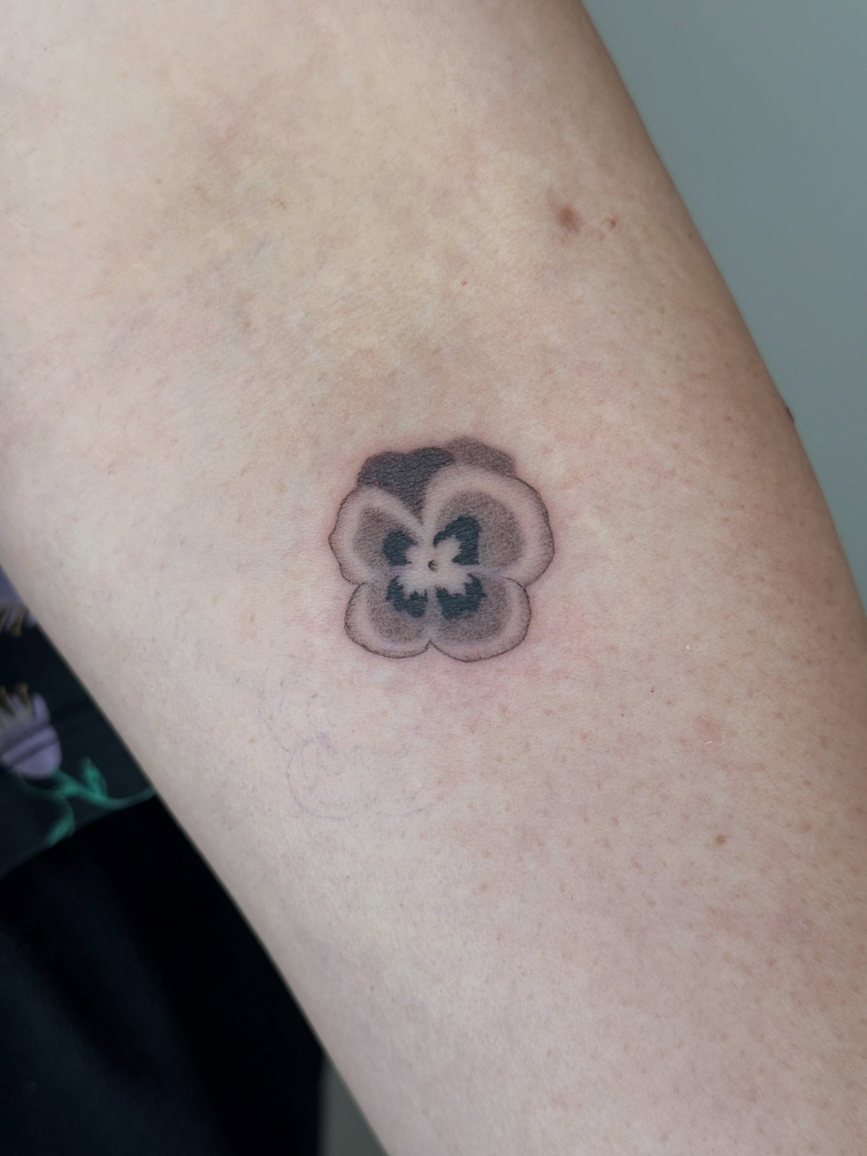 Pansy black and grey tattoo on the forearm by Monica Reynolds