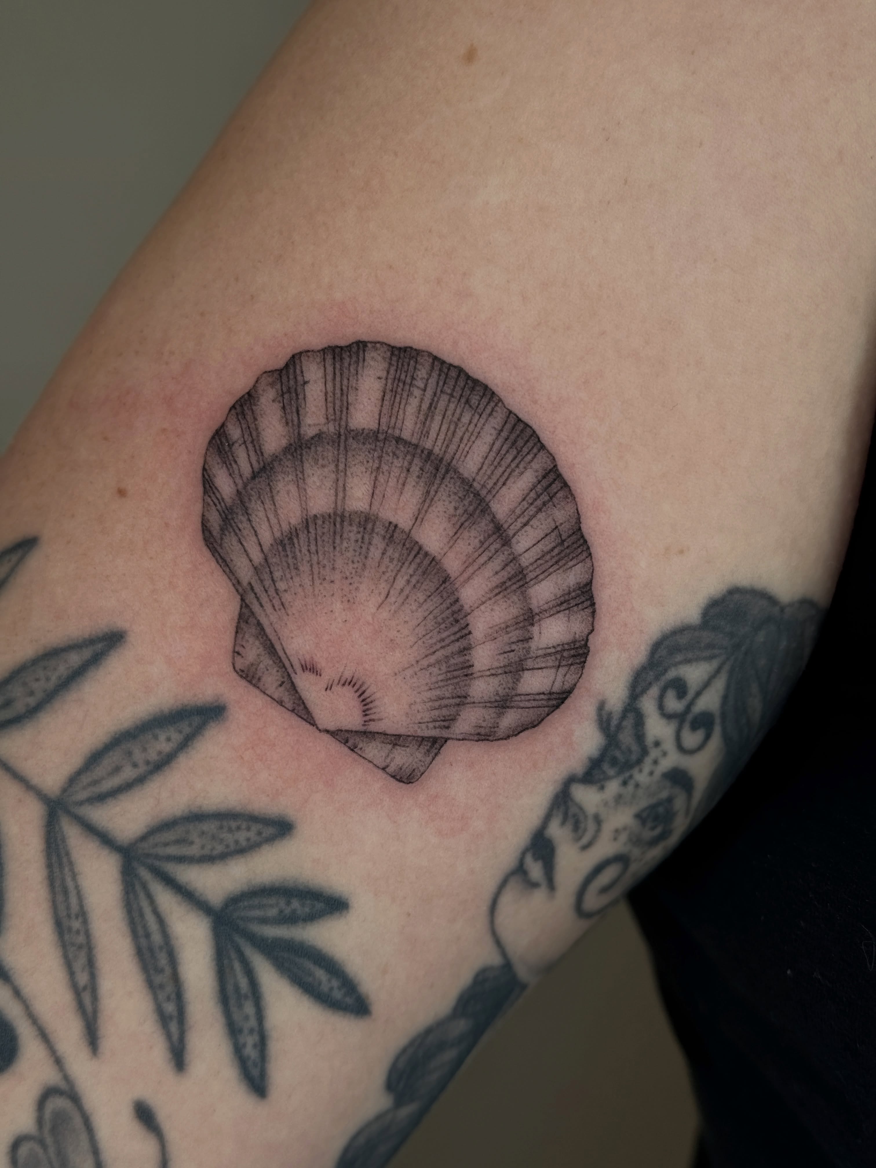 Shell black and grey tattoo on the forearm by Monica Reynolds