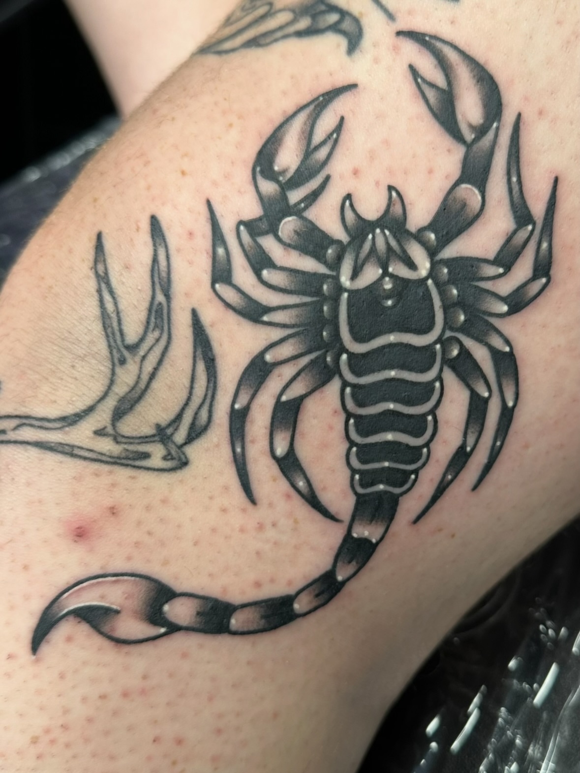 Scorpion black and grey tattoo on the forearm by Ash Nicole Painterly, San Diego, California