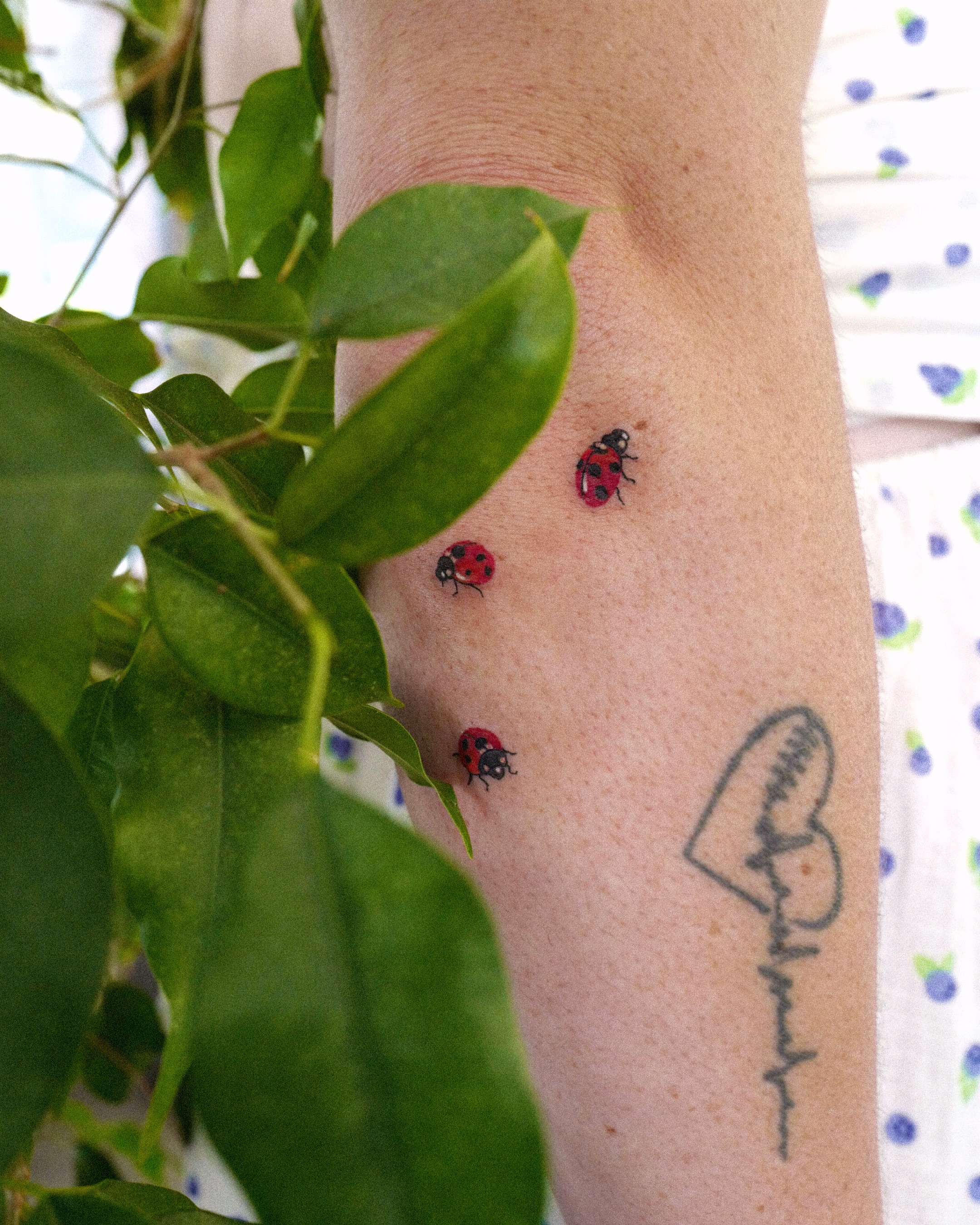 Ladybugs realism tattoo on the forearm by dahye lee