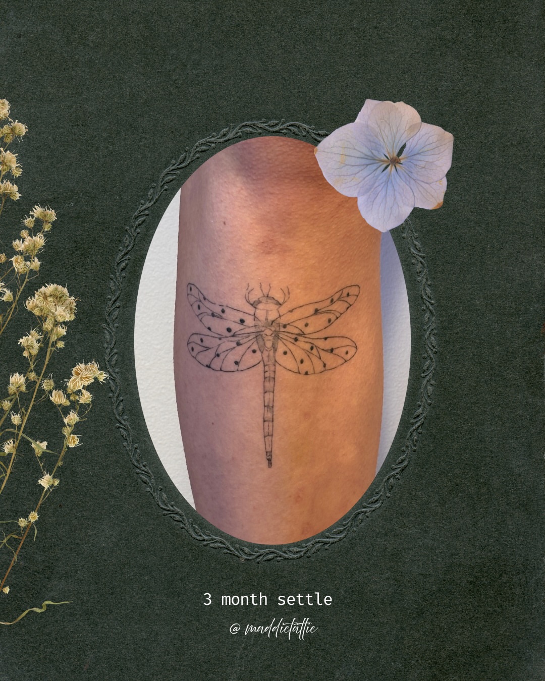 Dragonfly dotwork tattoo on the forearm by Maddie