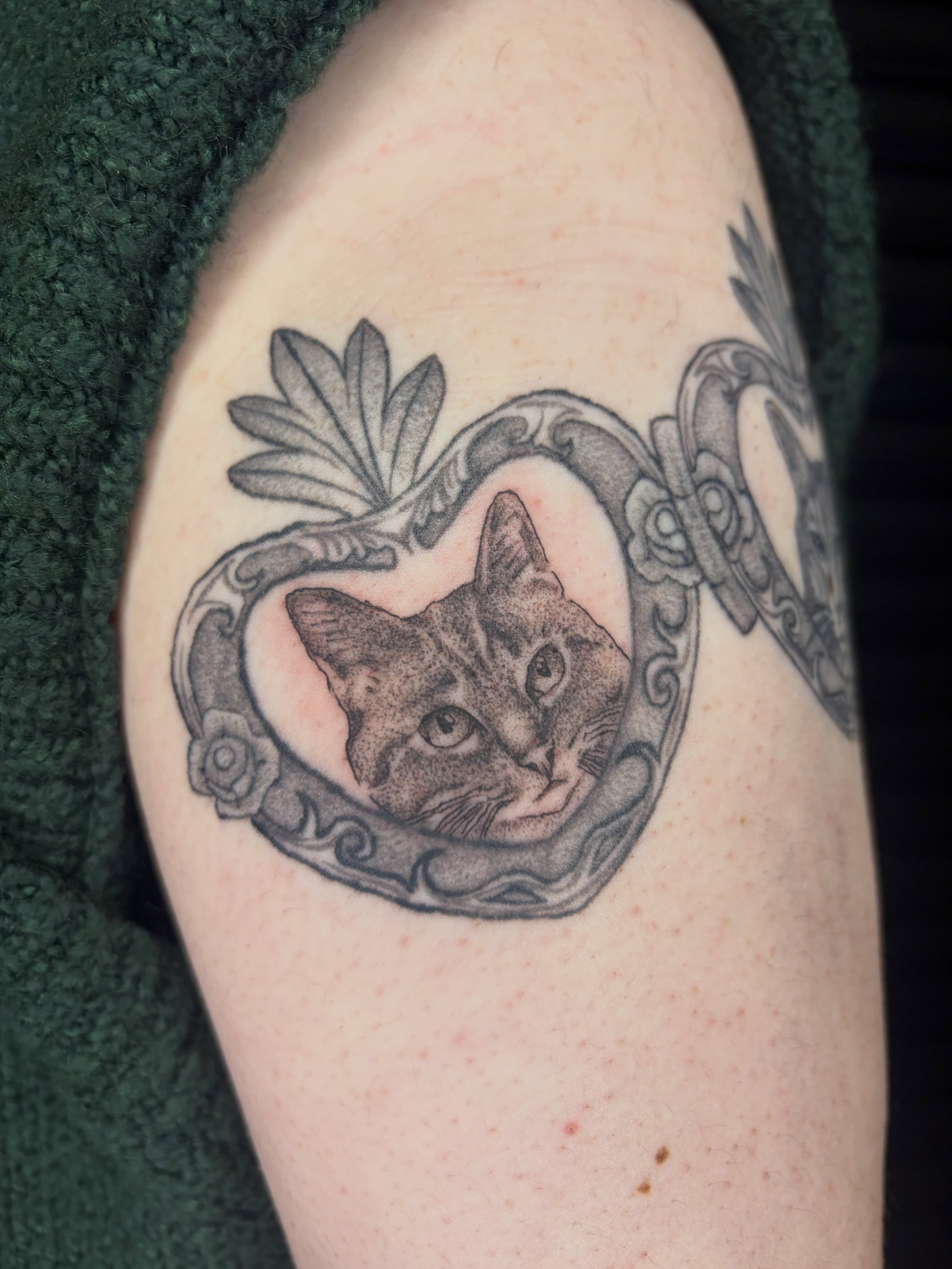 Cat in heart realism tattoo on the upper arm by san diego tattoo artist ✩, San Diego, California