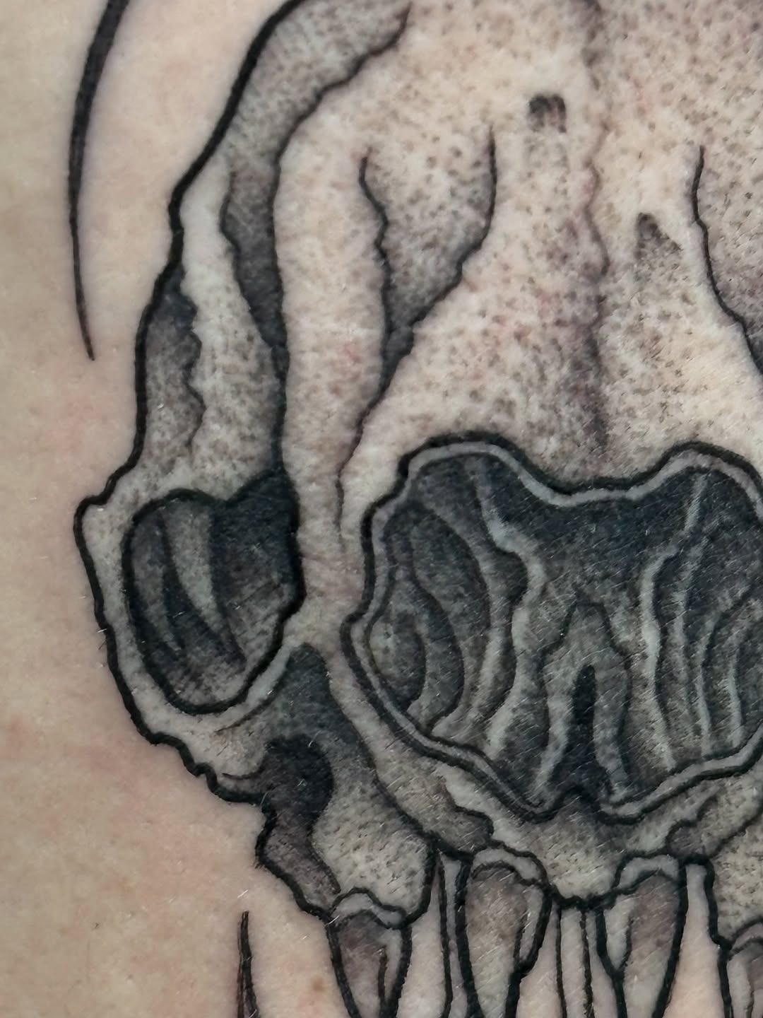 Tattoo by @ares_rhodestattoo — black_and_grey, dark_realism