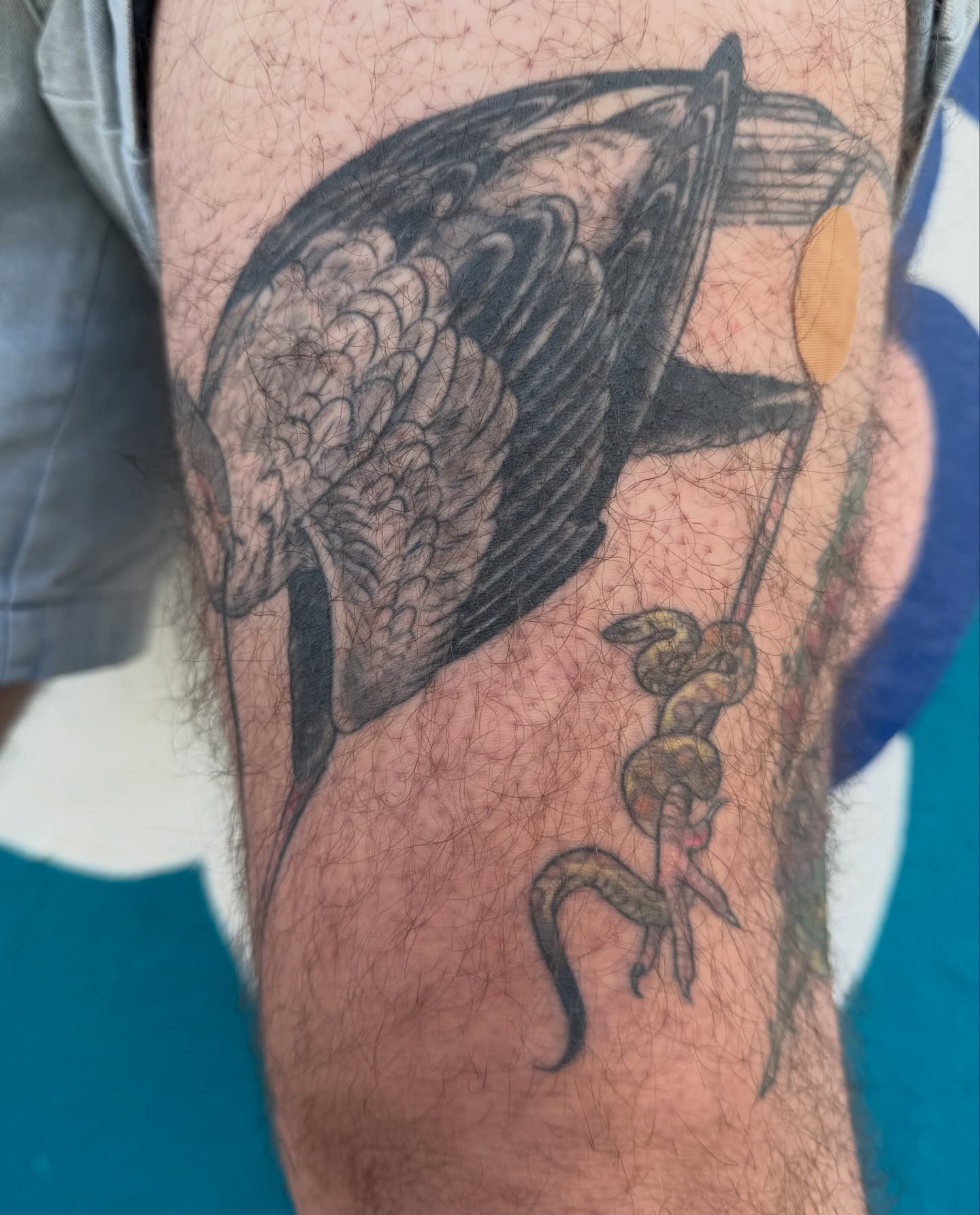 Crow and snake black and grey tattoo on the forearm by Roswell Orellana 👽🛸
