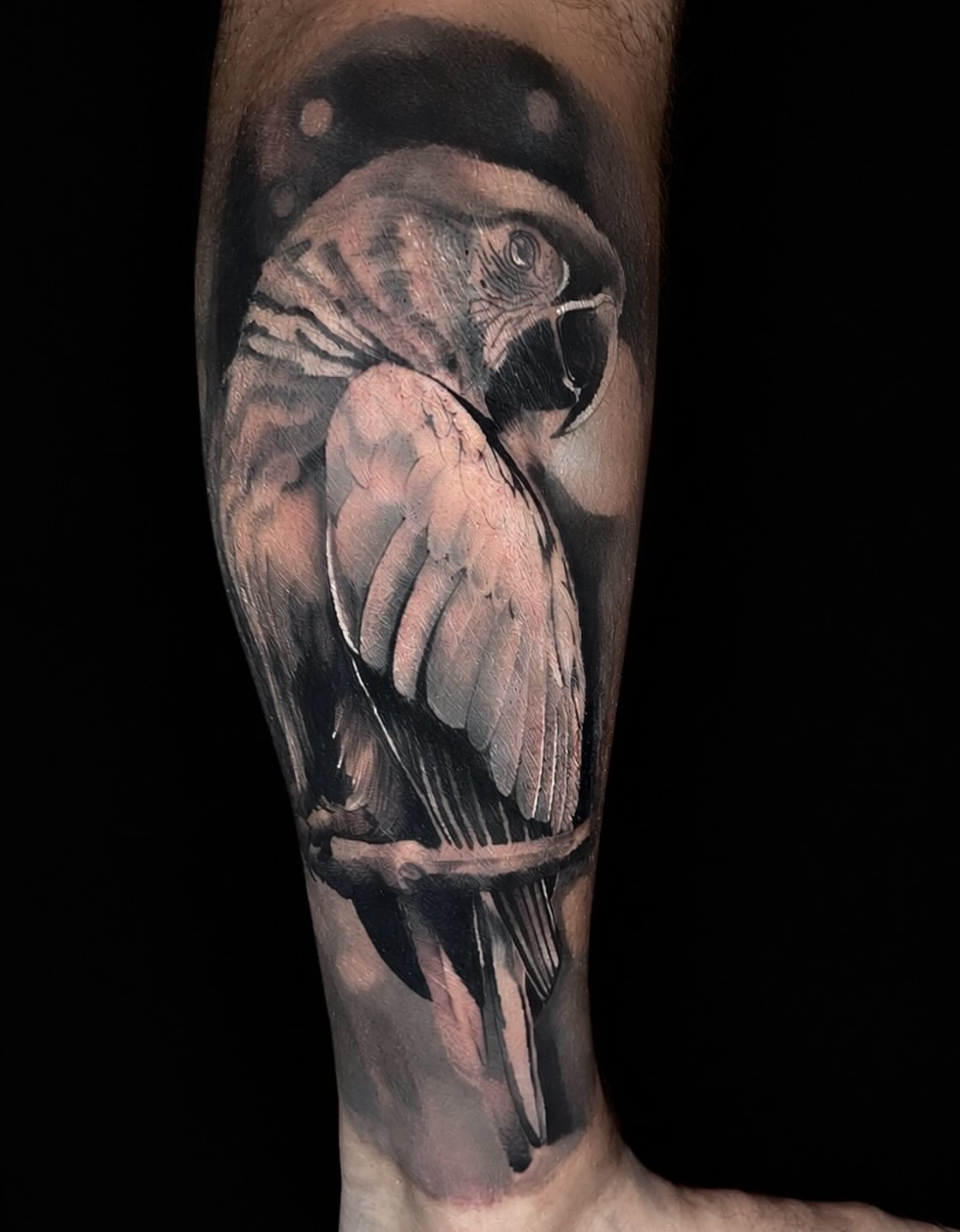Tattoo by @breestallworthtattoo — realism