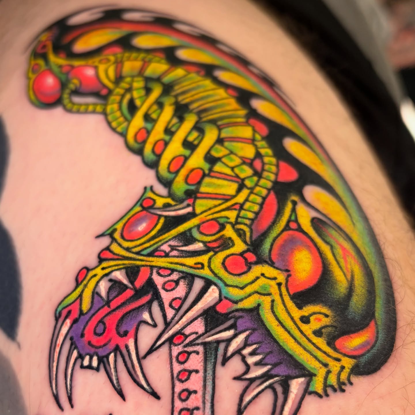 Serpent American traditional tattoo on the shoulder by 🌴Nick Hetzel🌴, Saint Petersburg, Florida