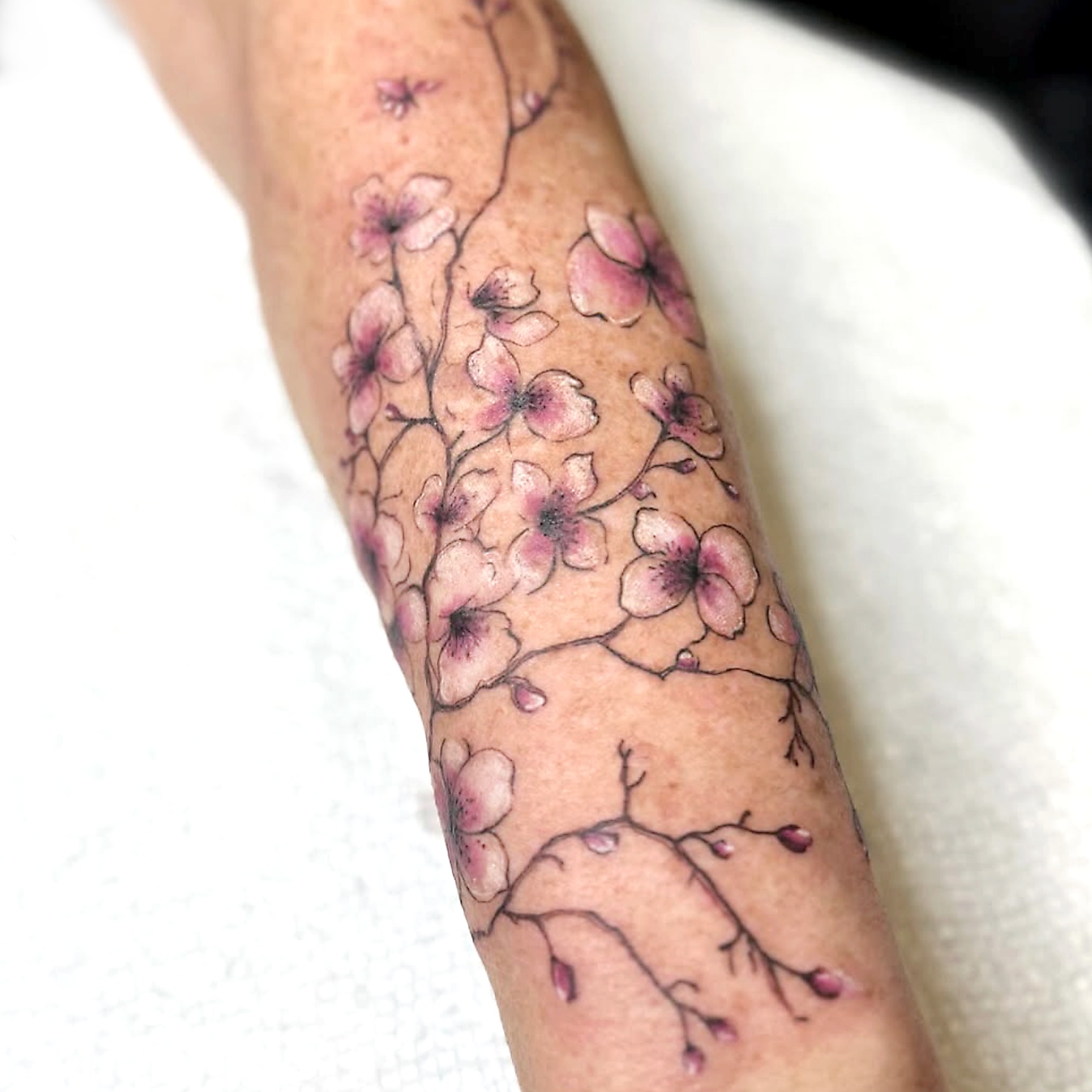 Cherry blossoms watercolor tattoo on the forearm by R o s e