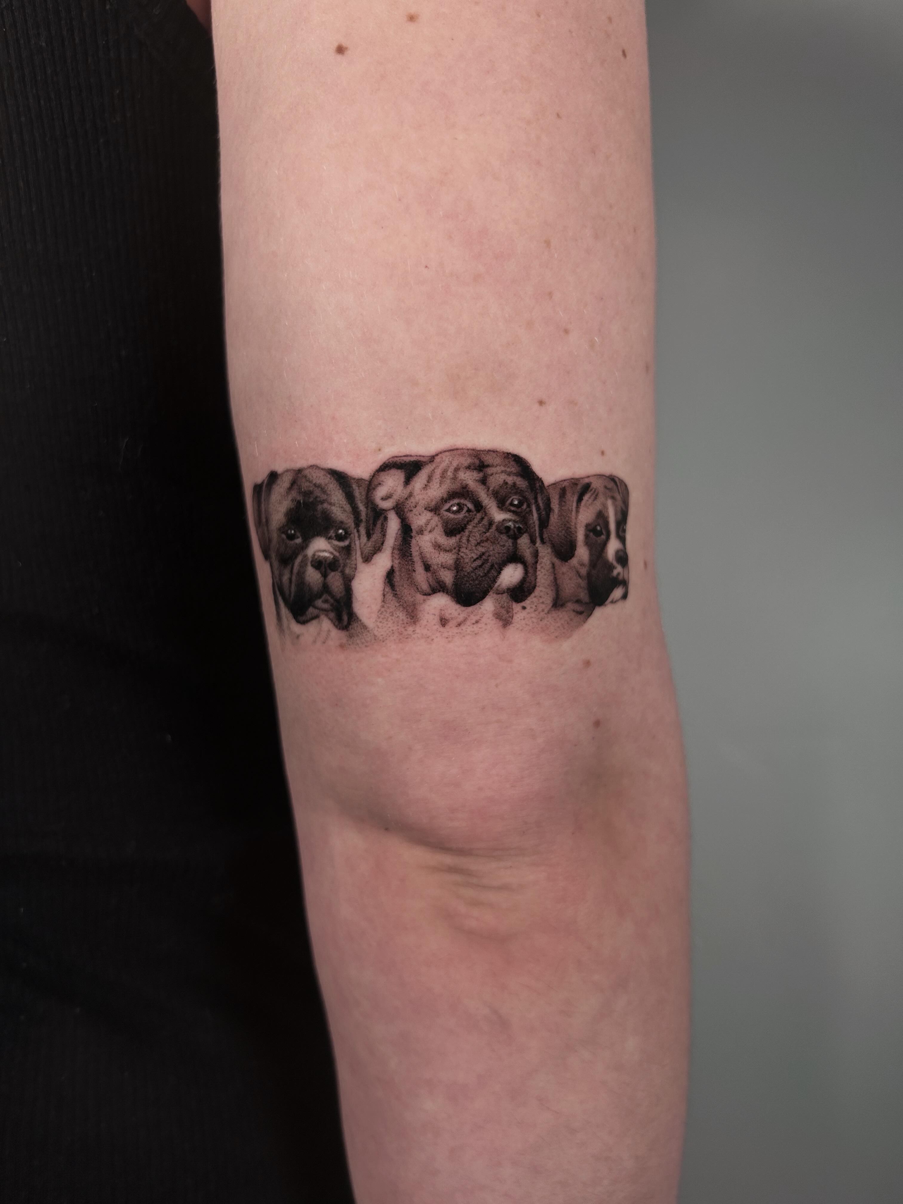 Bulldog heads realism tattoo on the forearm by Salt Lake City tattoo artist