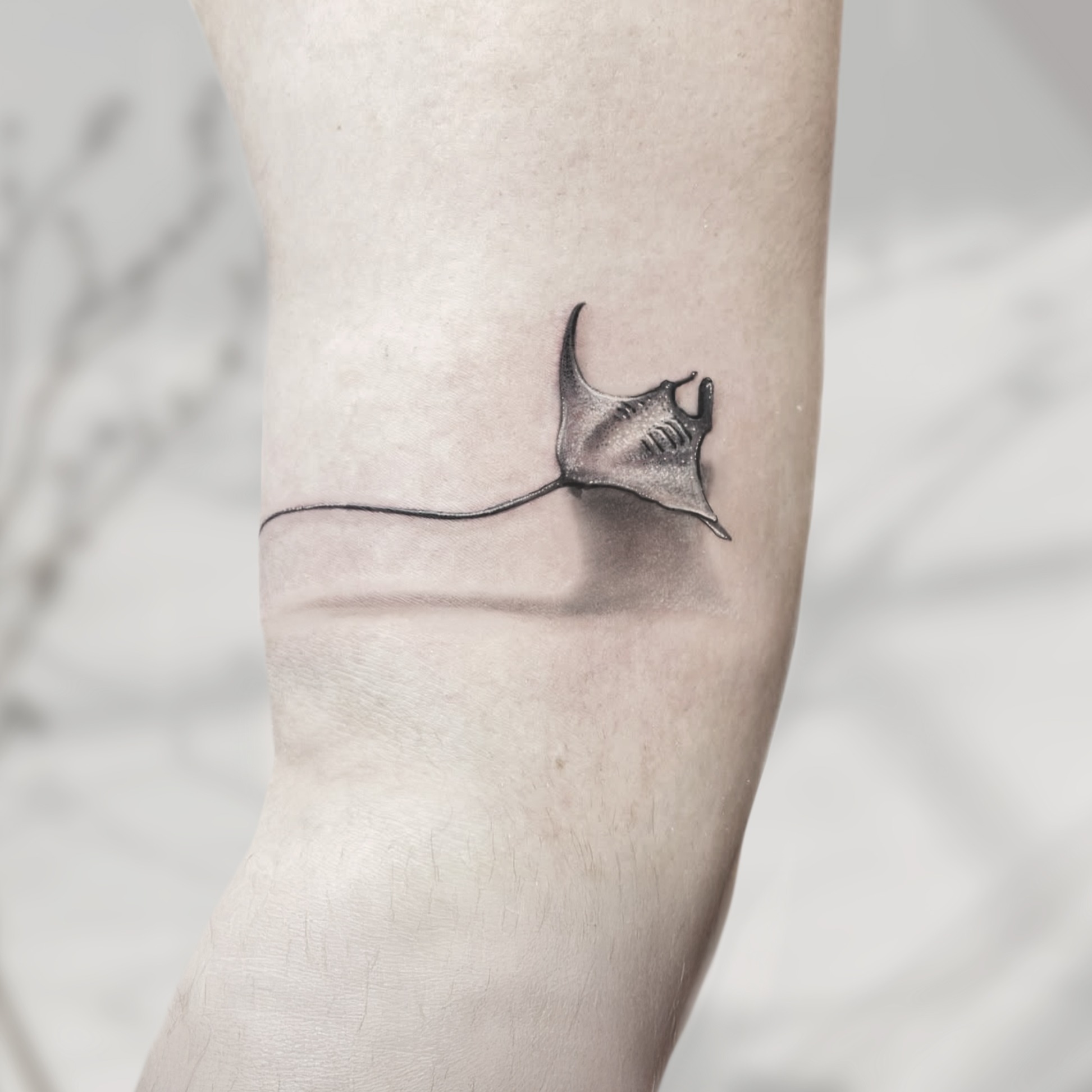 Ray black and grey tattoo on the forearm by R o s e