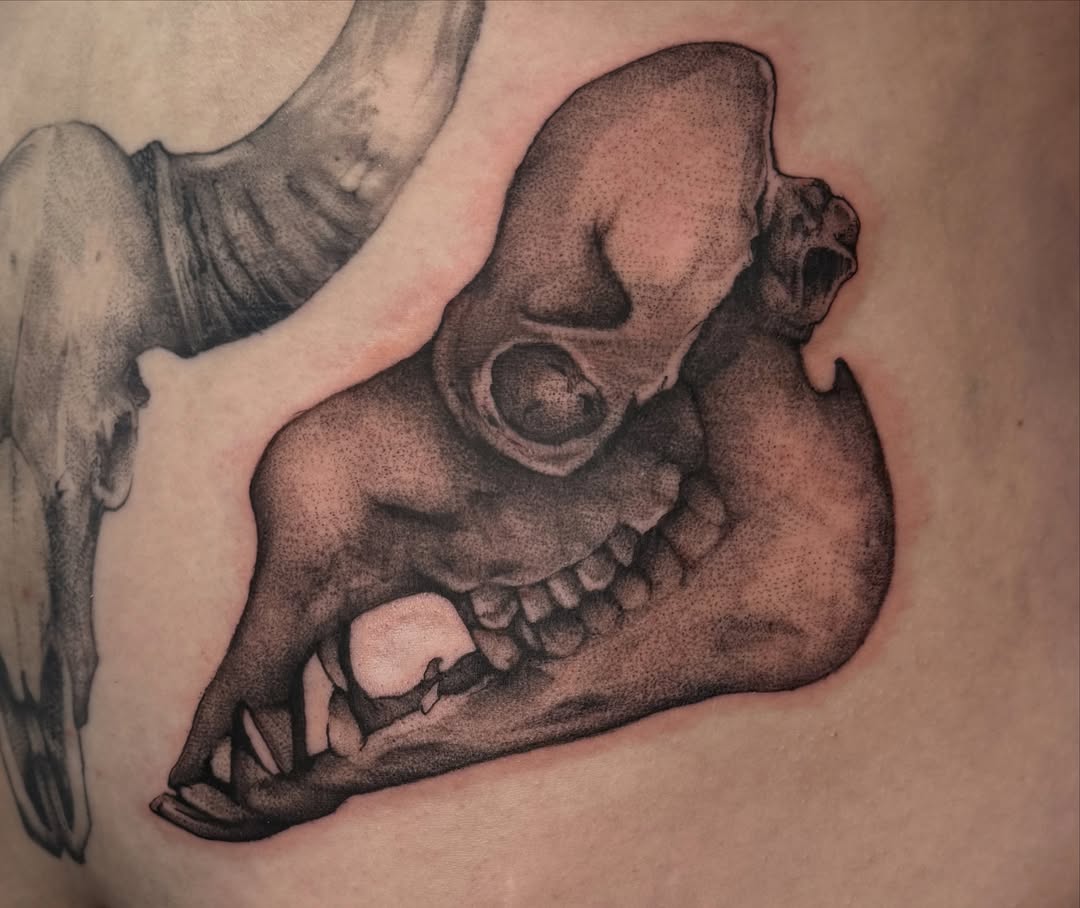 Skull dotwork tattoo on the back by Halle Cooper