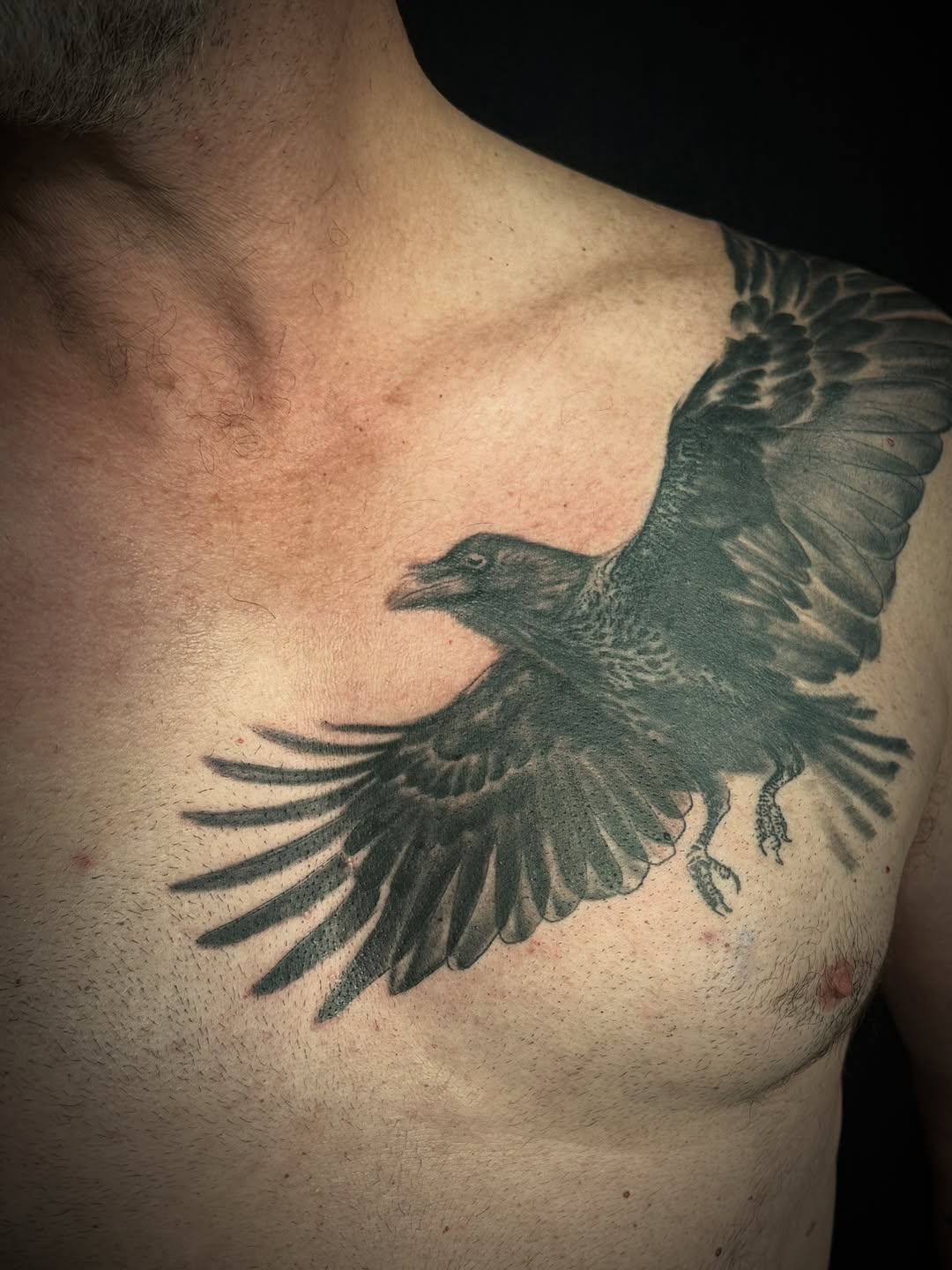 Raven in flight fine line tattoo on the chest by Will McCoy (Tattooist), Murray, Utah