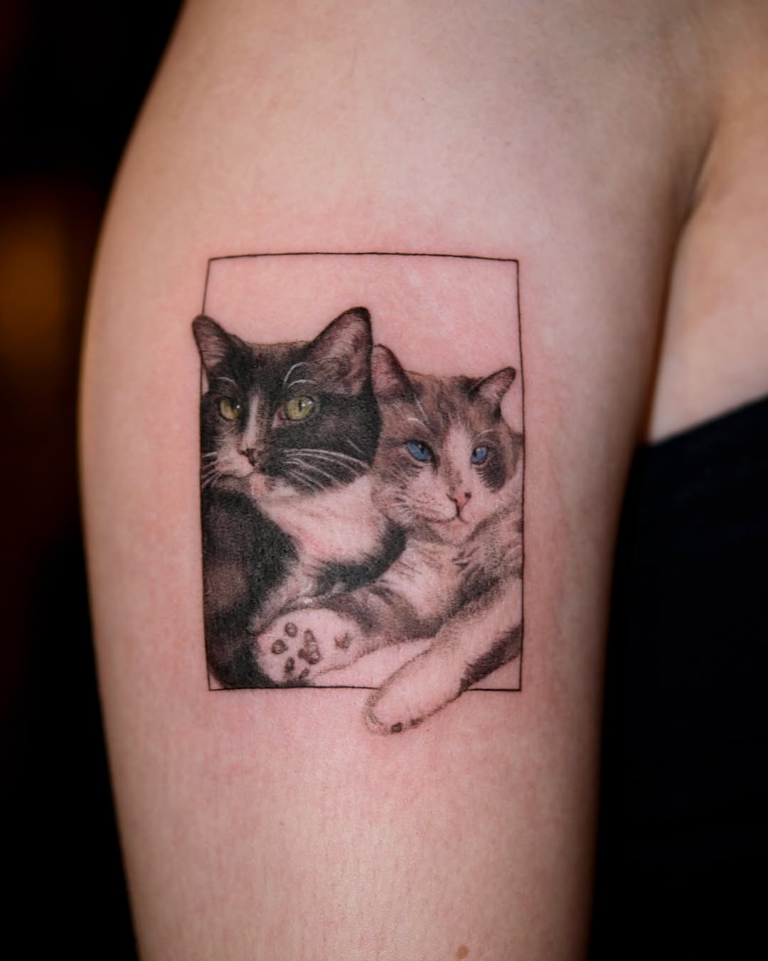 Tattoo by @toki.tattoos — realism