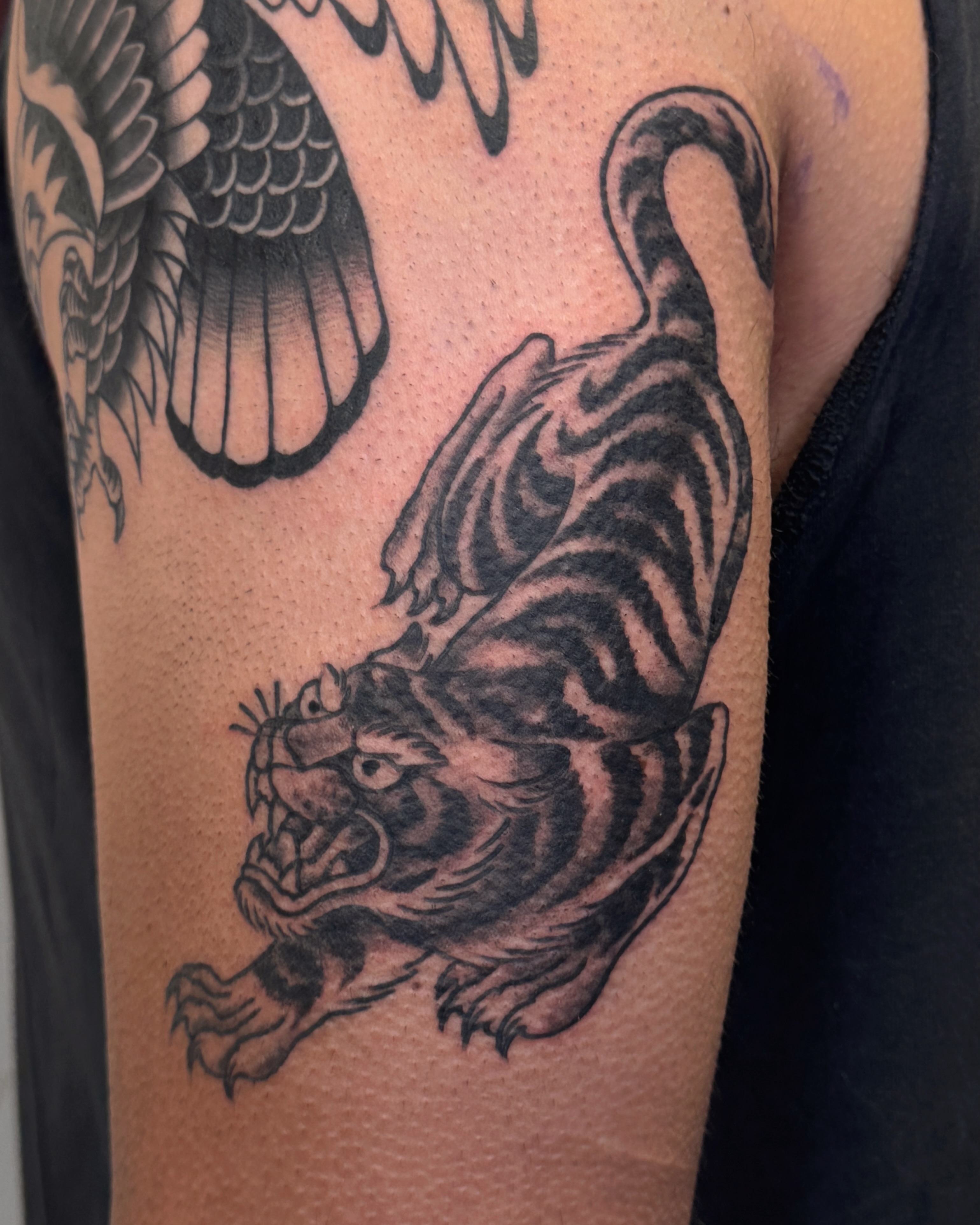 Tiger black and grey tattoo on the forearm by Bre Grover, Vancouver, British Columbia