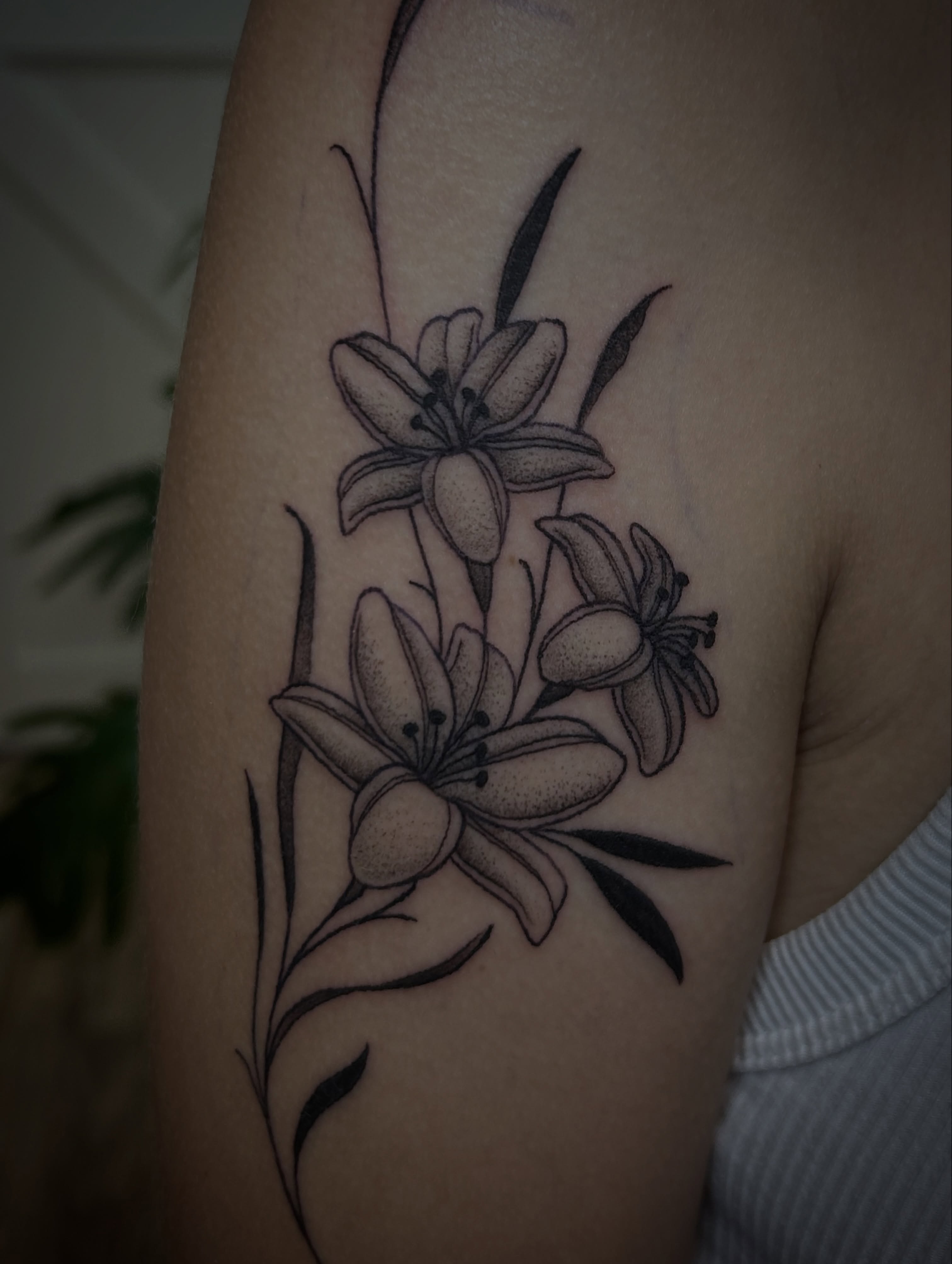 Tattoo by @midwestcrybaby — dotwork