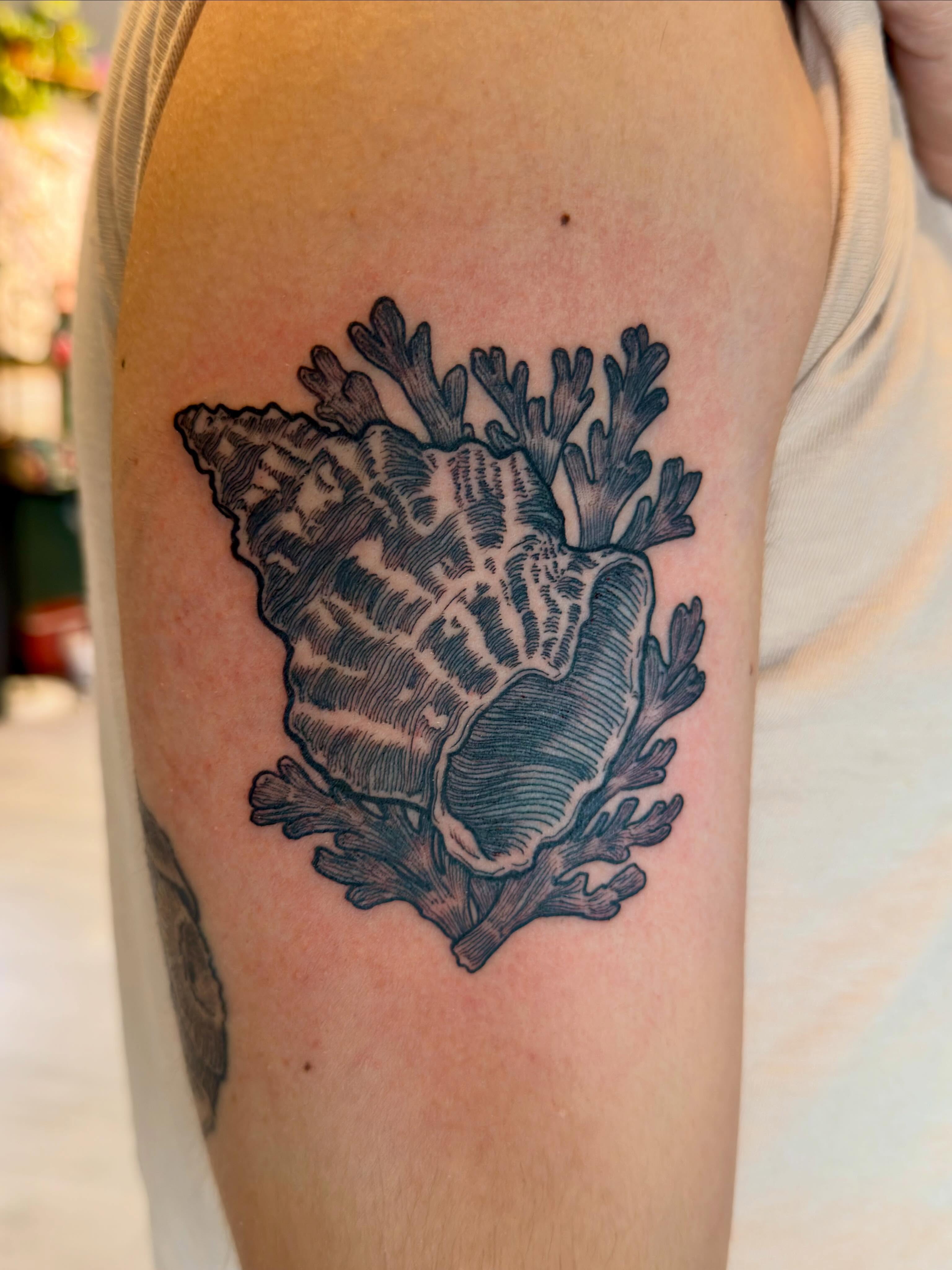 Seashell black and grey tattoo on the upper arm by Patrick Carroll