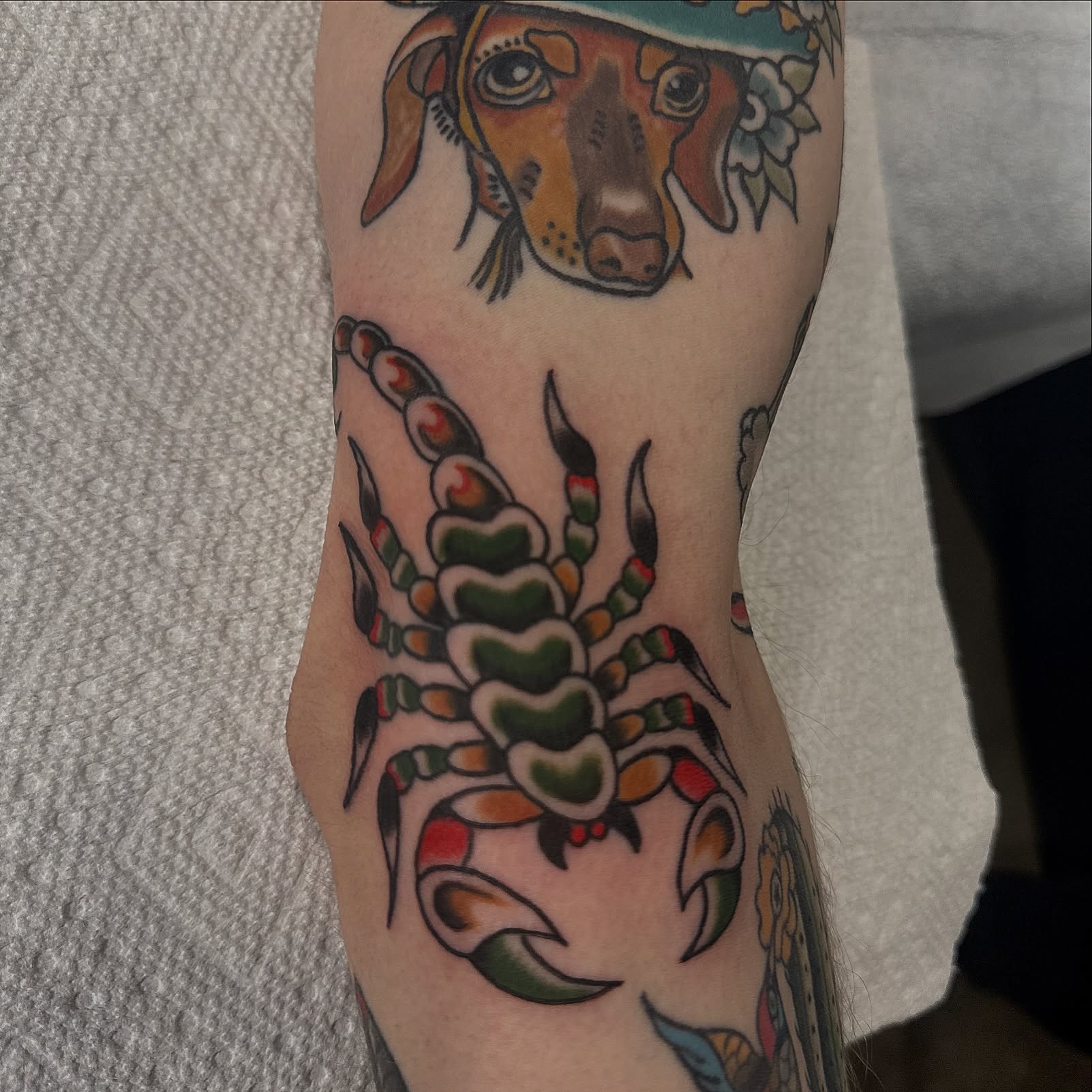 Tattoo by @areubeewhy — american_traditional
