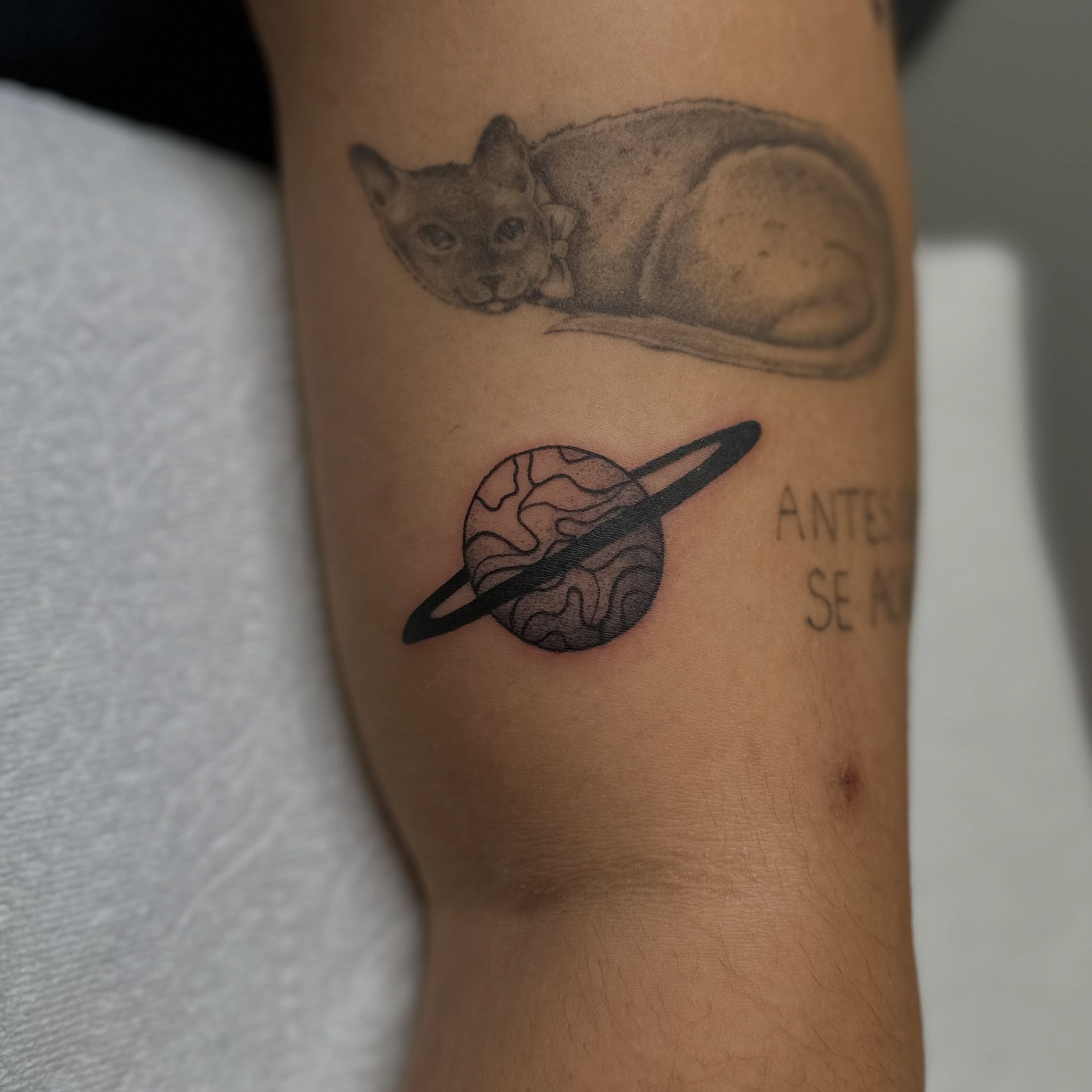 Tattoo by @ander.tattoos — dotwork, realism