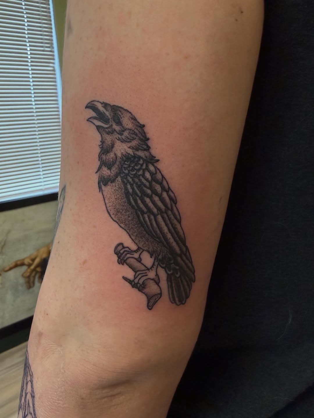 Raven on a branch fine line tattoo on the forearm by Taytum Marsing, Salt Lake City, Utah
