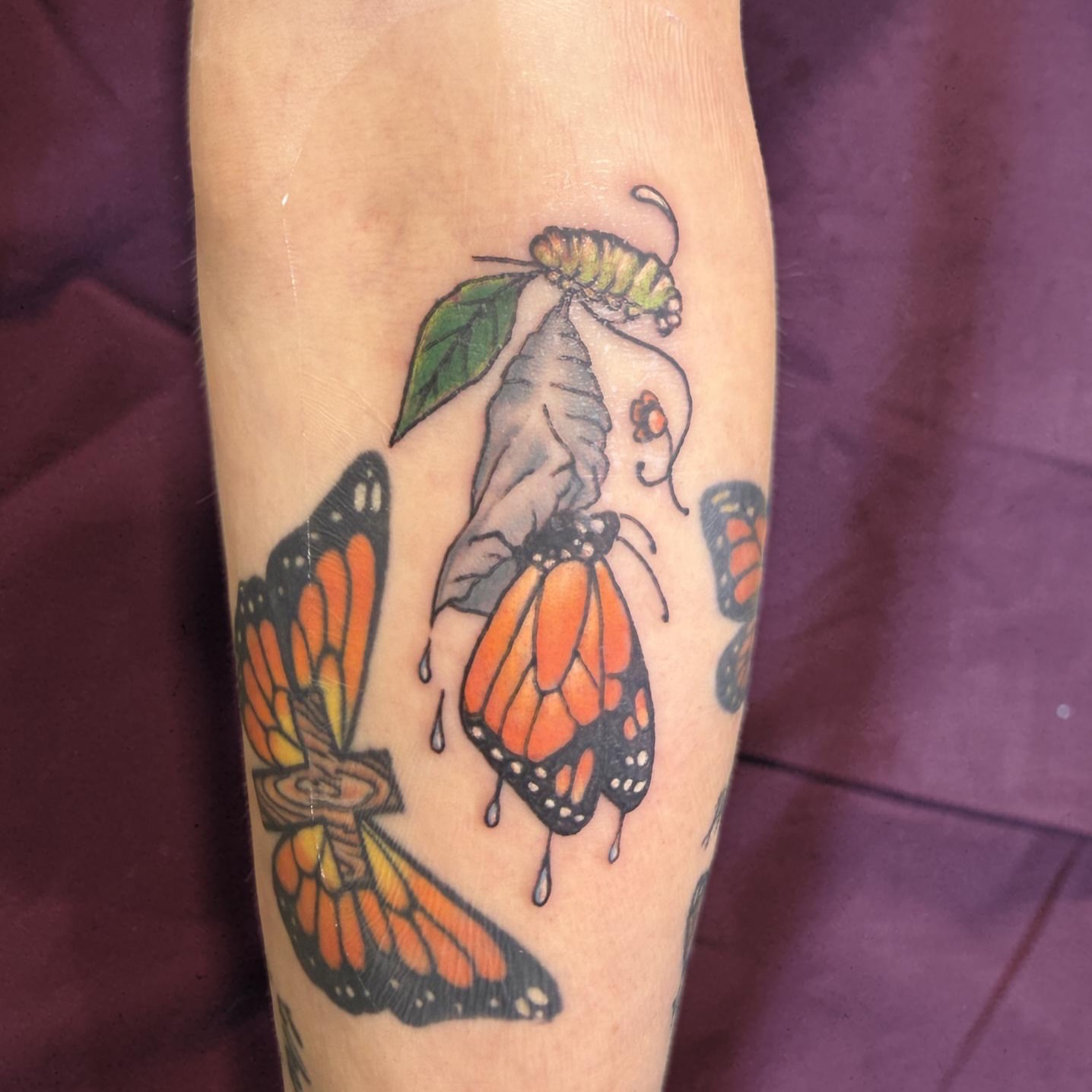 Tattoo by @seanrakos — dotwork, realism