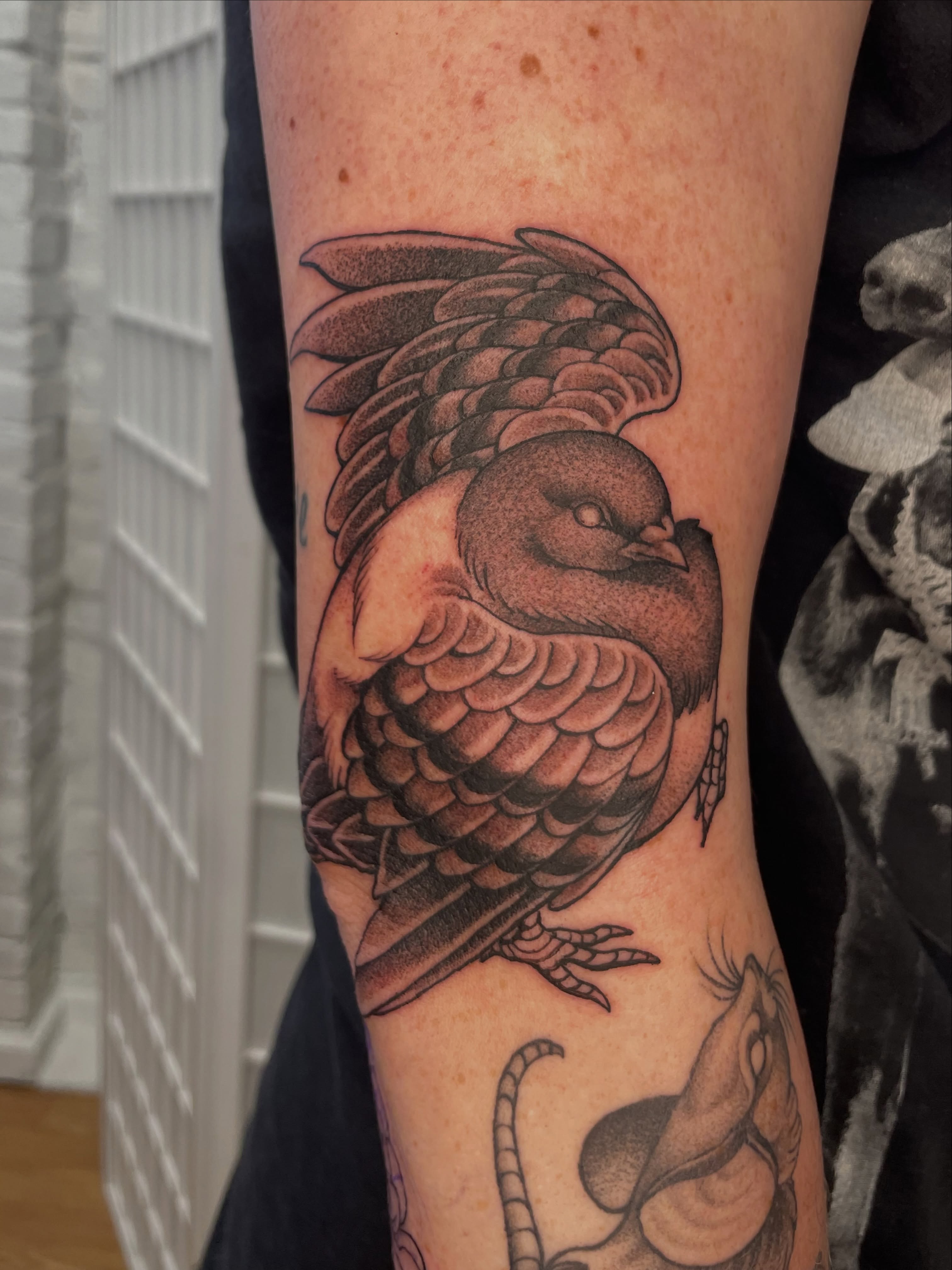 Tattoo by @collie_tattoos — american_traditional, dotwork