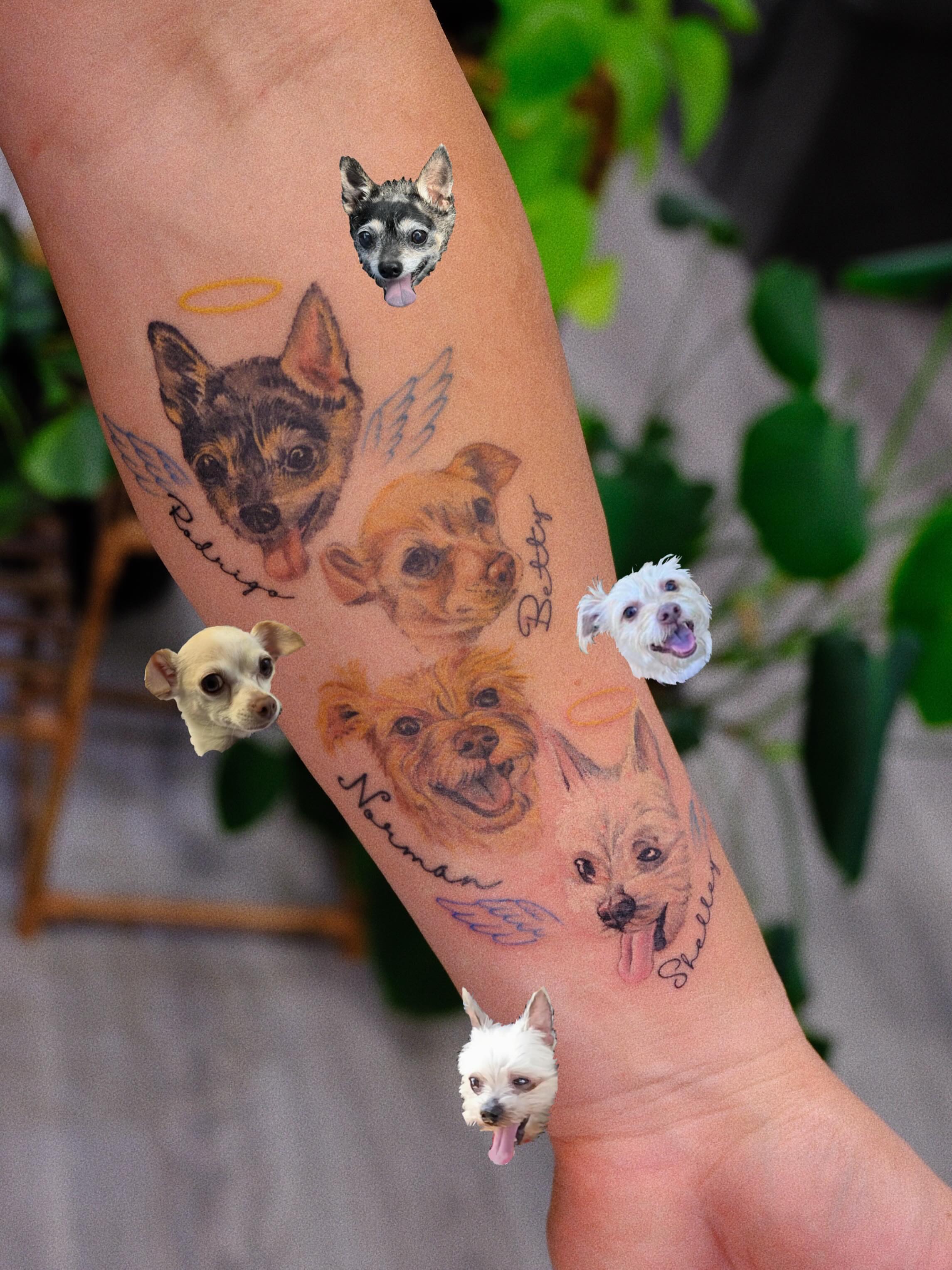 Dogs realism tattoo on the forearm by rita_tattooist