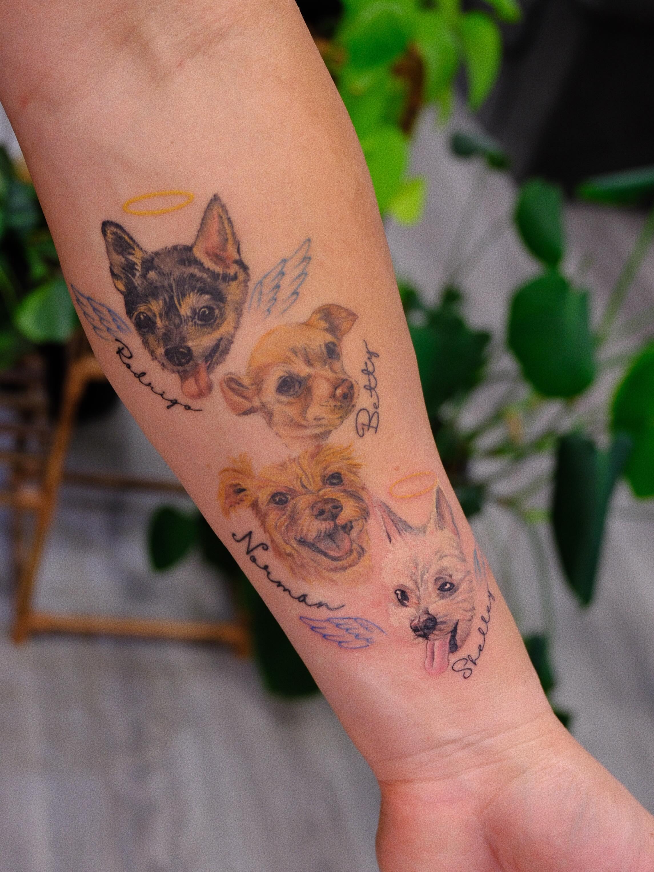Dog portraits realism tattoo on the forearm by rita_tattooist