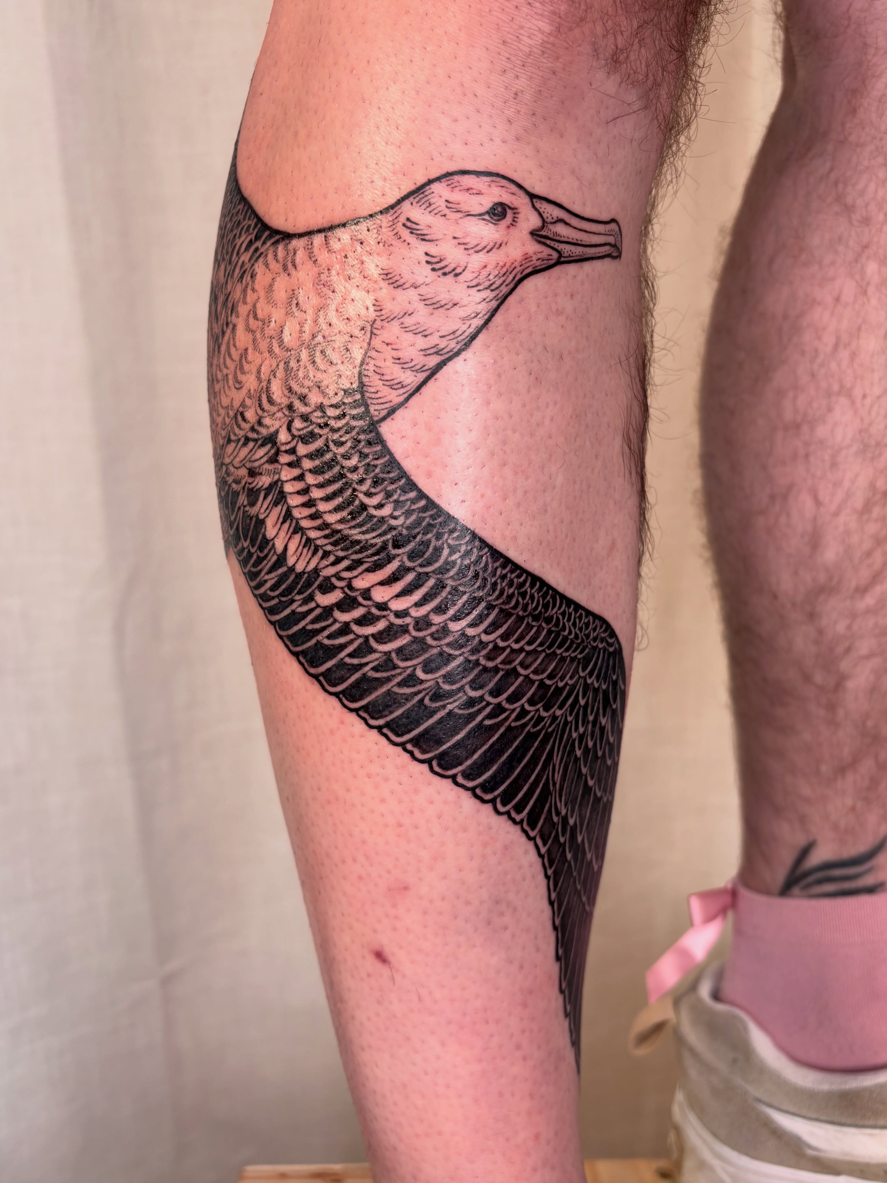 Seagull black and grey tattoo on the leg by Maggie