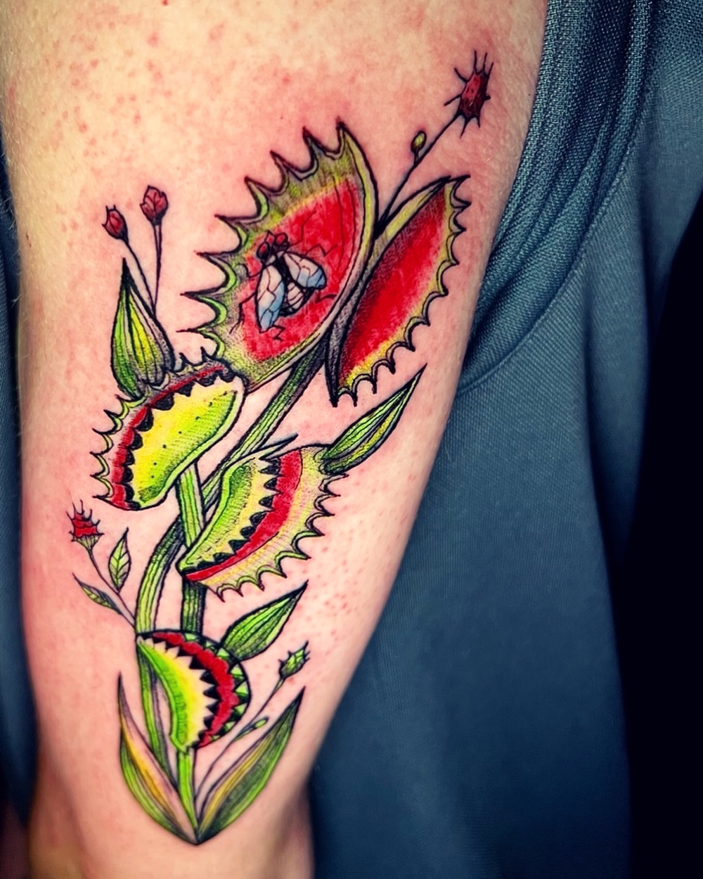 Venus flytrap new school tattoo on the forearm by Evan Intveld