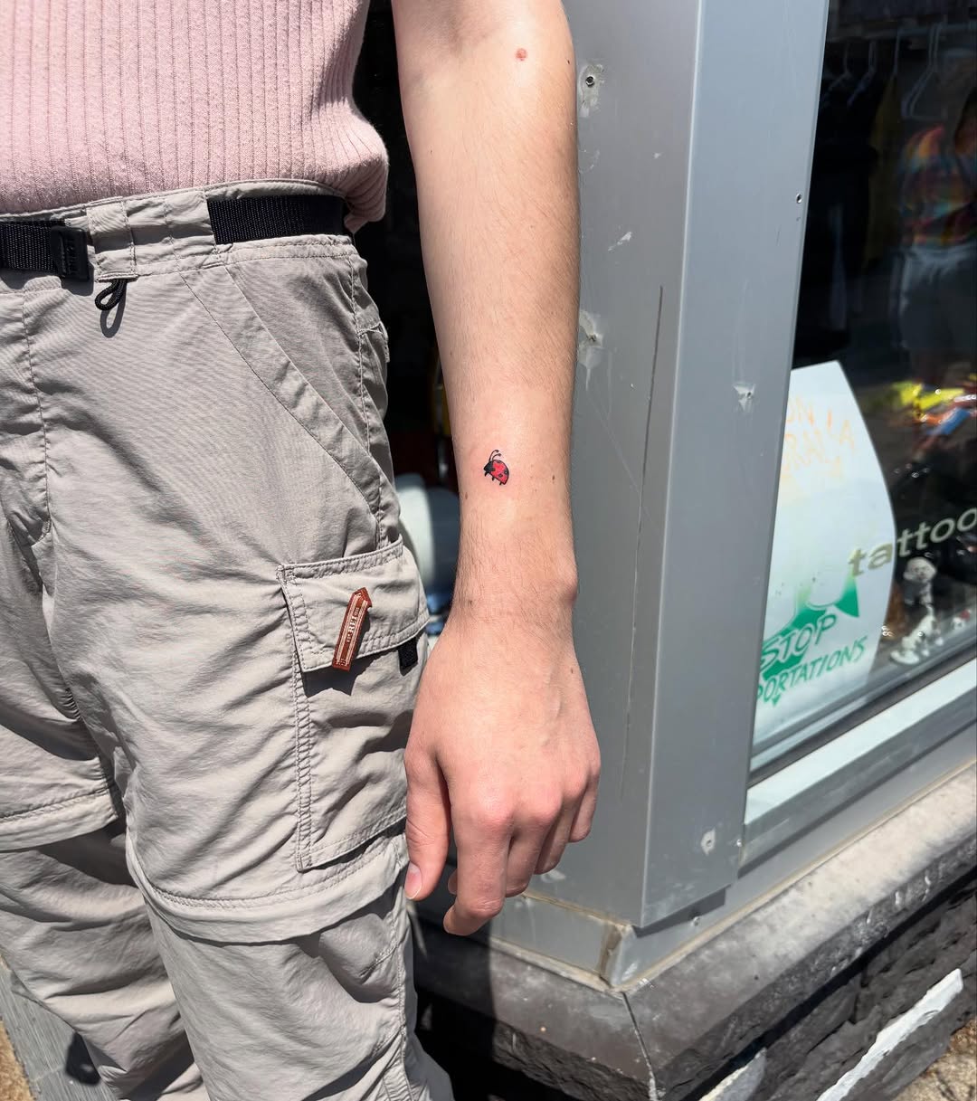 Ladybug ignorant tattoo on the forearm by riley