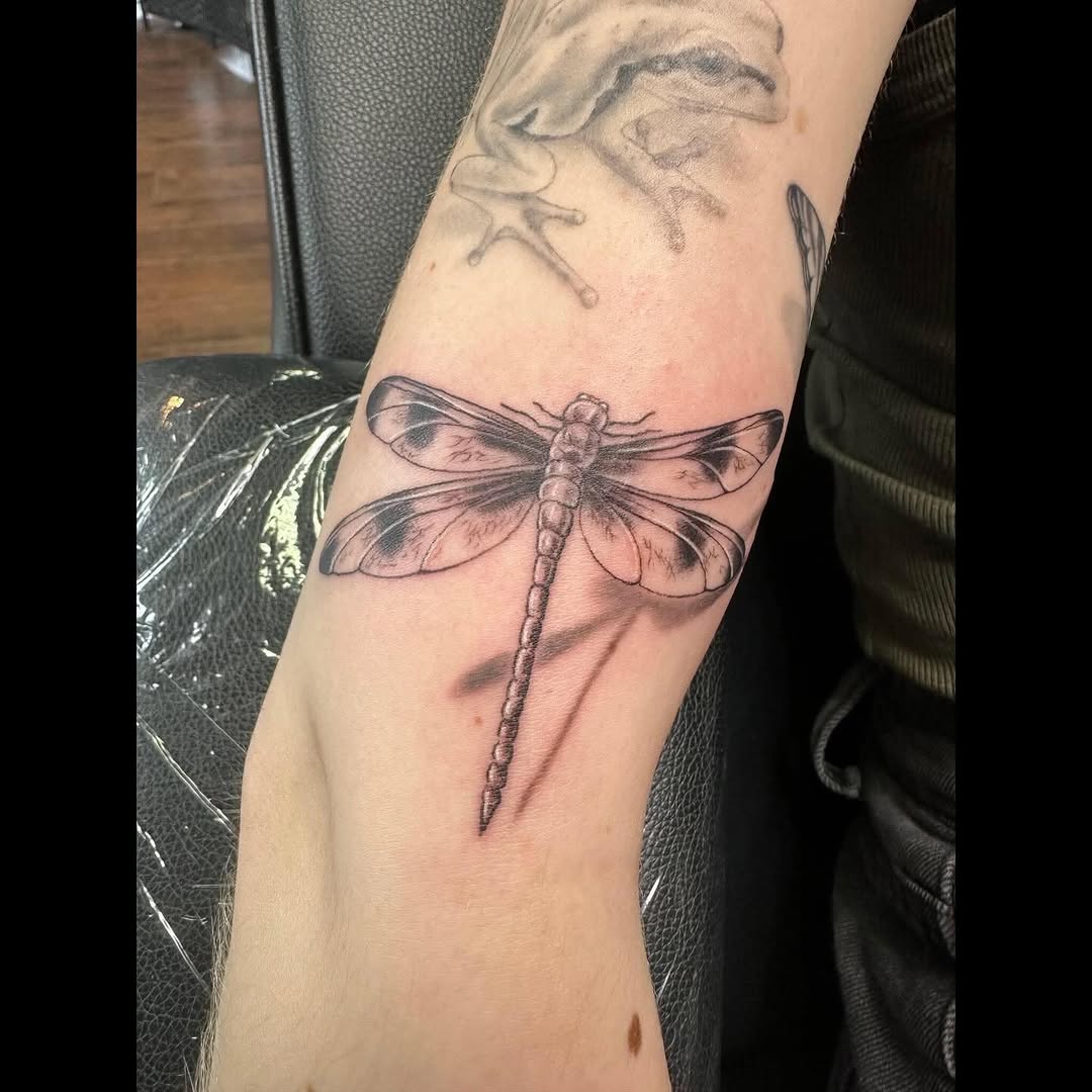 Dragonfly fine line tattoo on the forearm by Sarah Nash