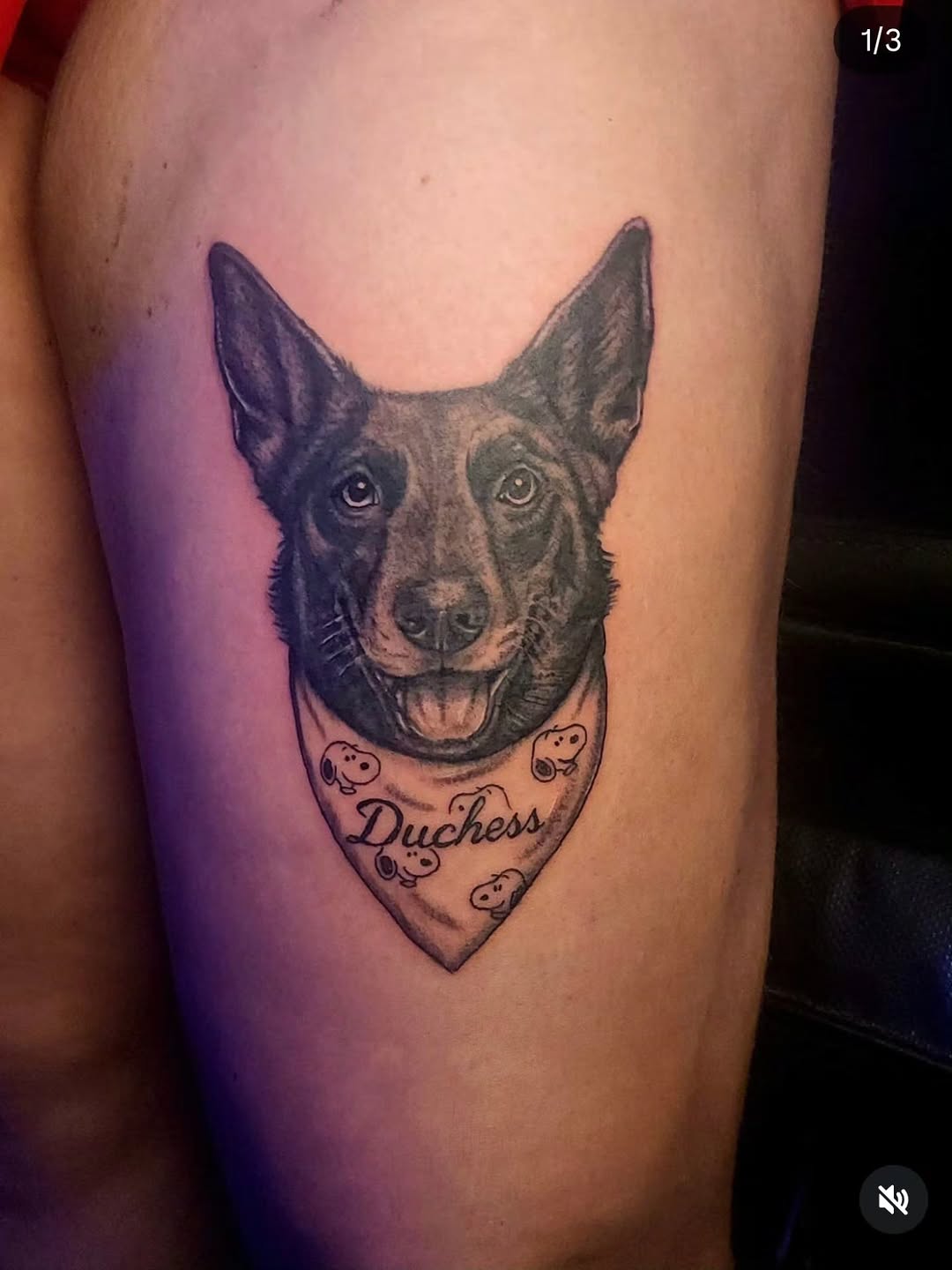 Dog portrait with bandana tattoo on the forearm by Karley Michelle Moody
