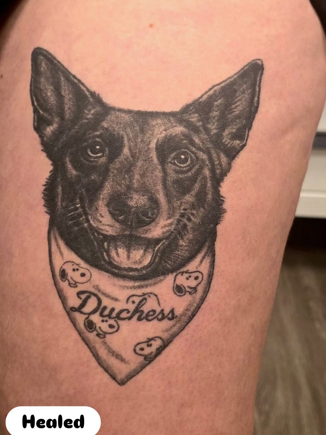 Dog portrait with bandana realism tattoo on the thigh by Karley Michelle Moody